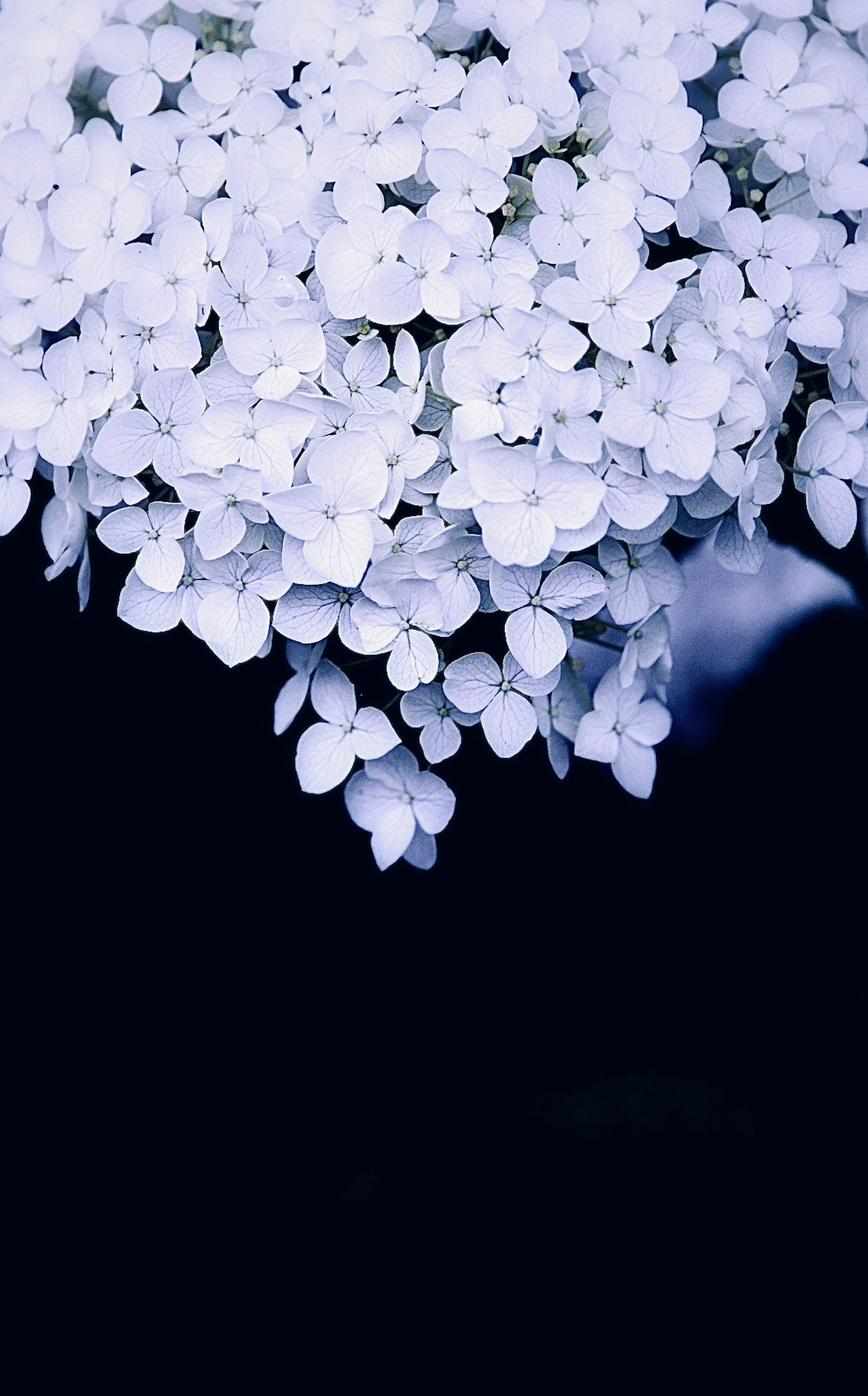photo-qQtVmwWJGKeOkQMuqxwp-image