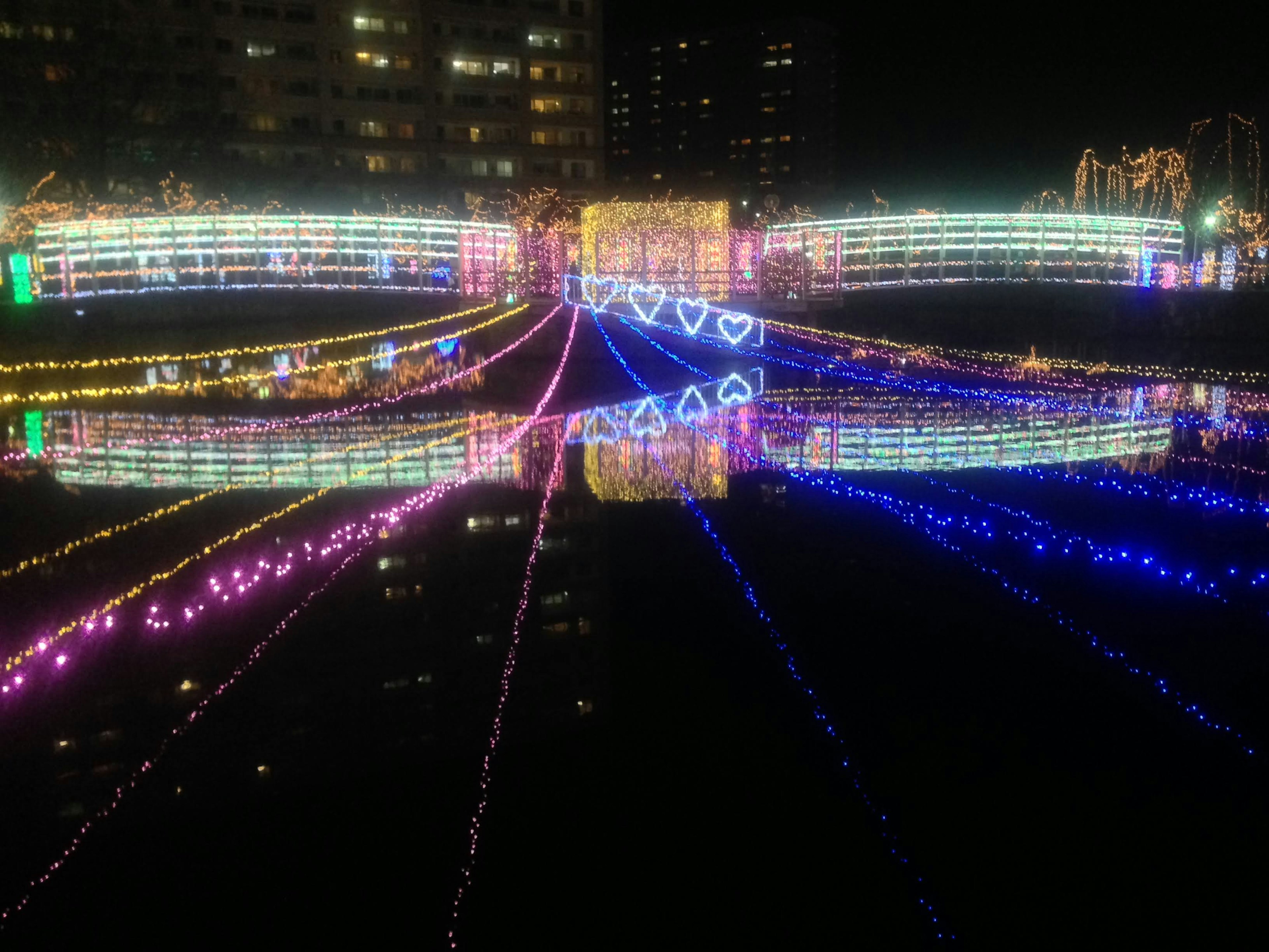 Colorful lights and reflections on the water at night