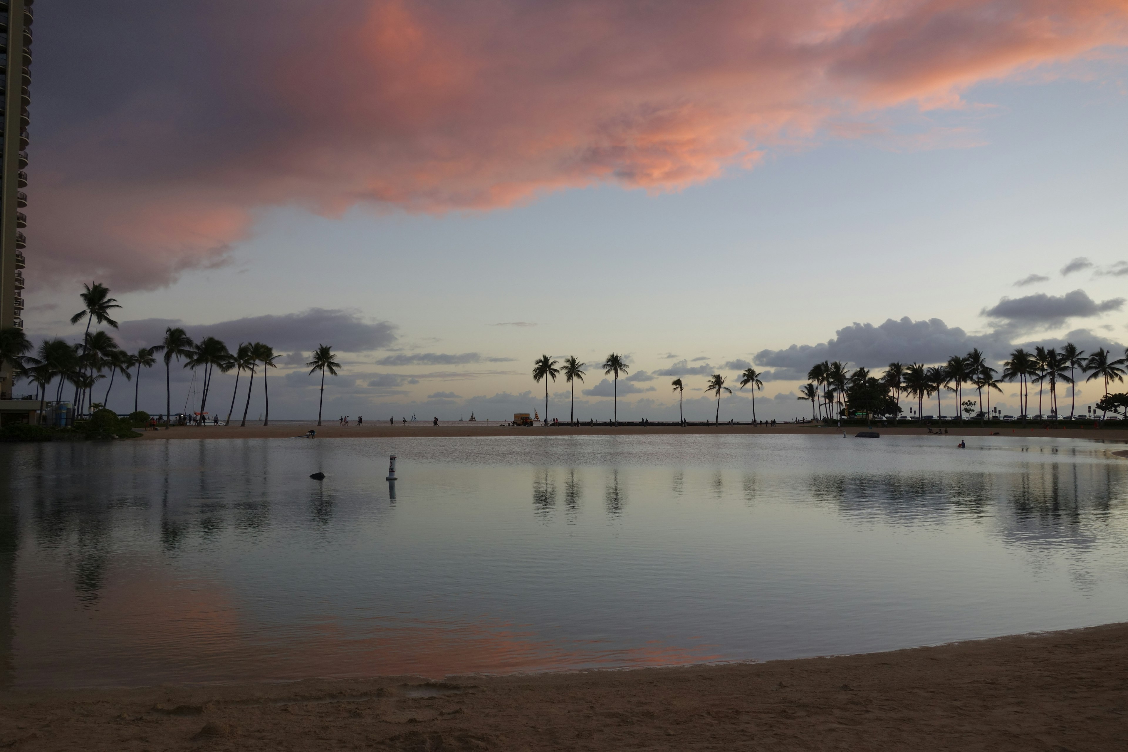 Bella scena di spiaggia al tramonto con palme riflesse sull'acqua calma