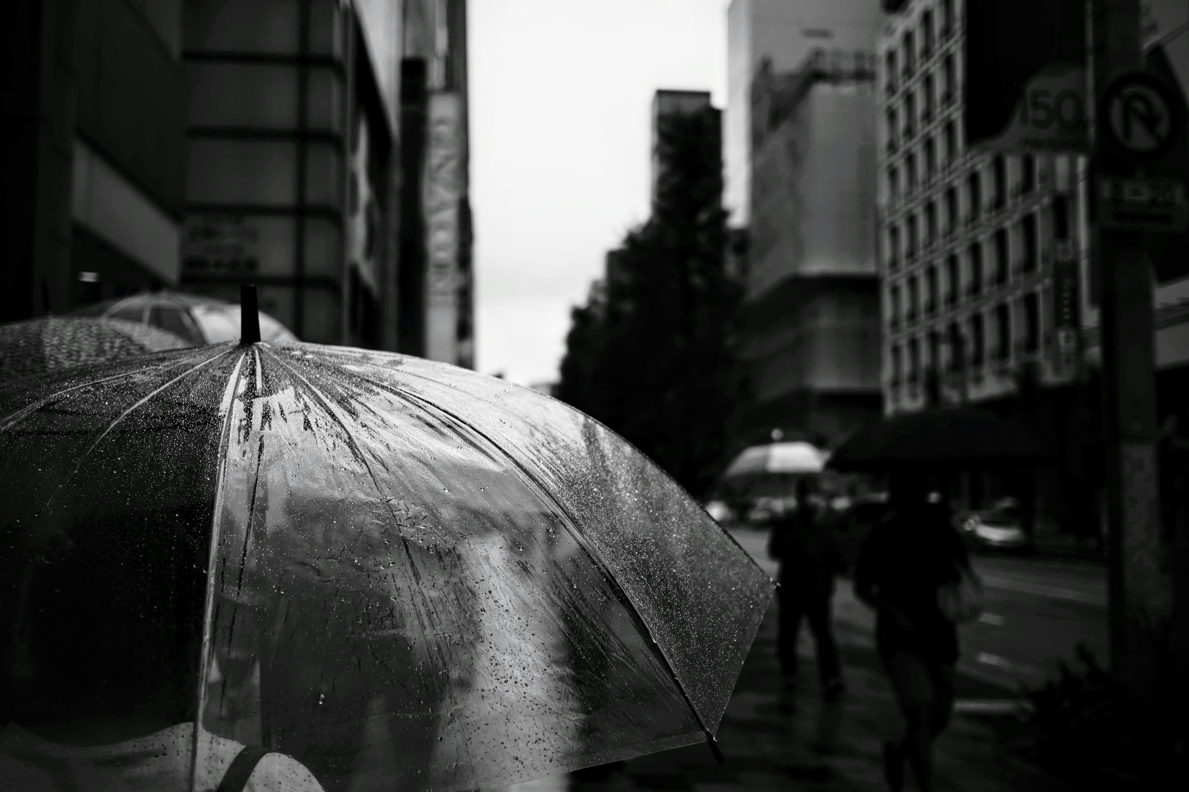 Image en noir et blanc de personnes marchant avec des parapluies sous la pluie