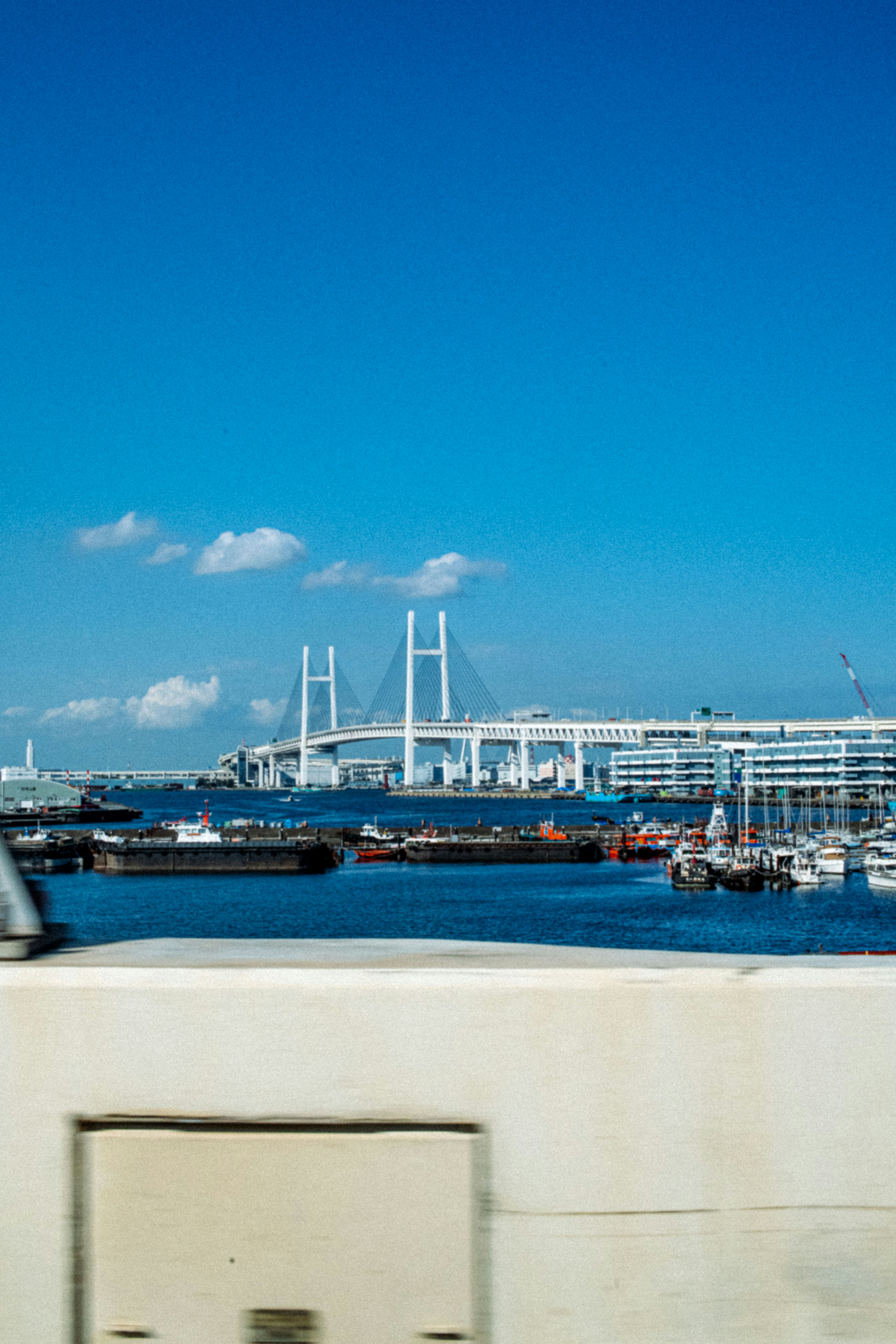 青い空の下に横浜ベイブリッジと港の風景が広がる