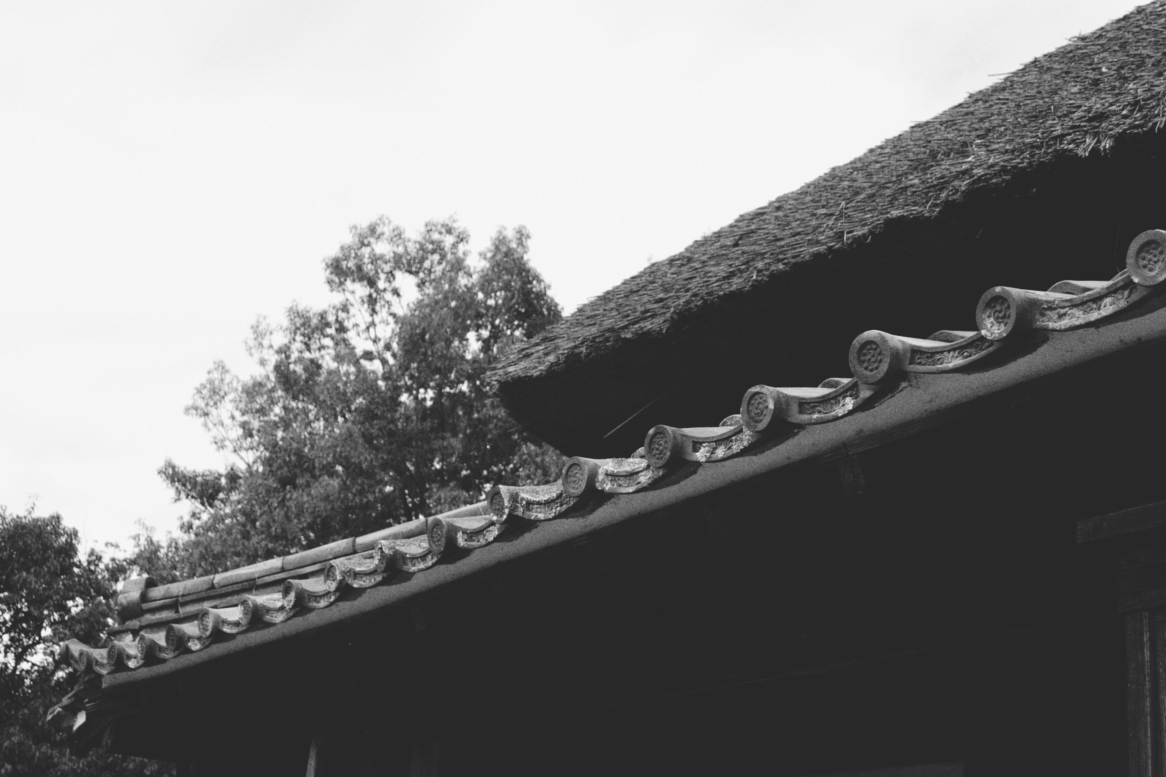 Black and white image of a traditional roof design with trees in the background