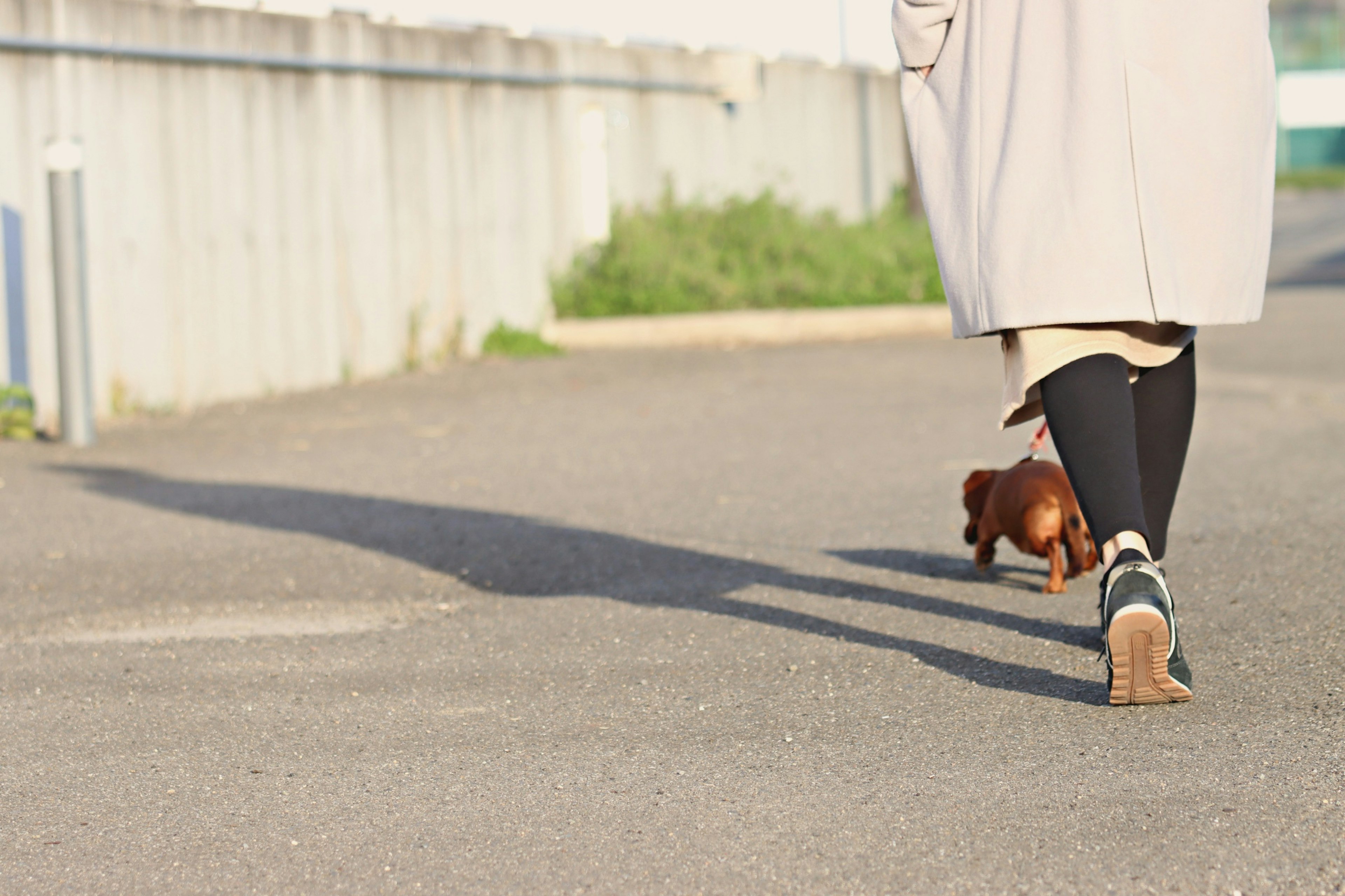 Una donna che passeggia con un cane su una strada asfaltata