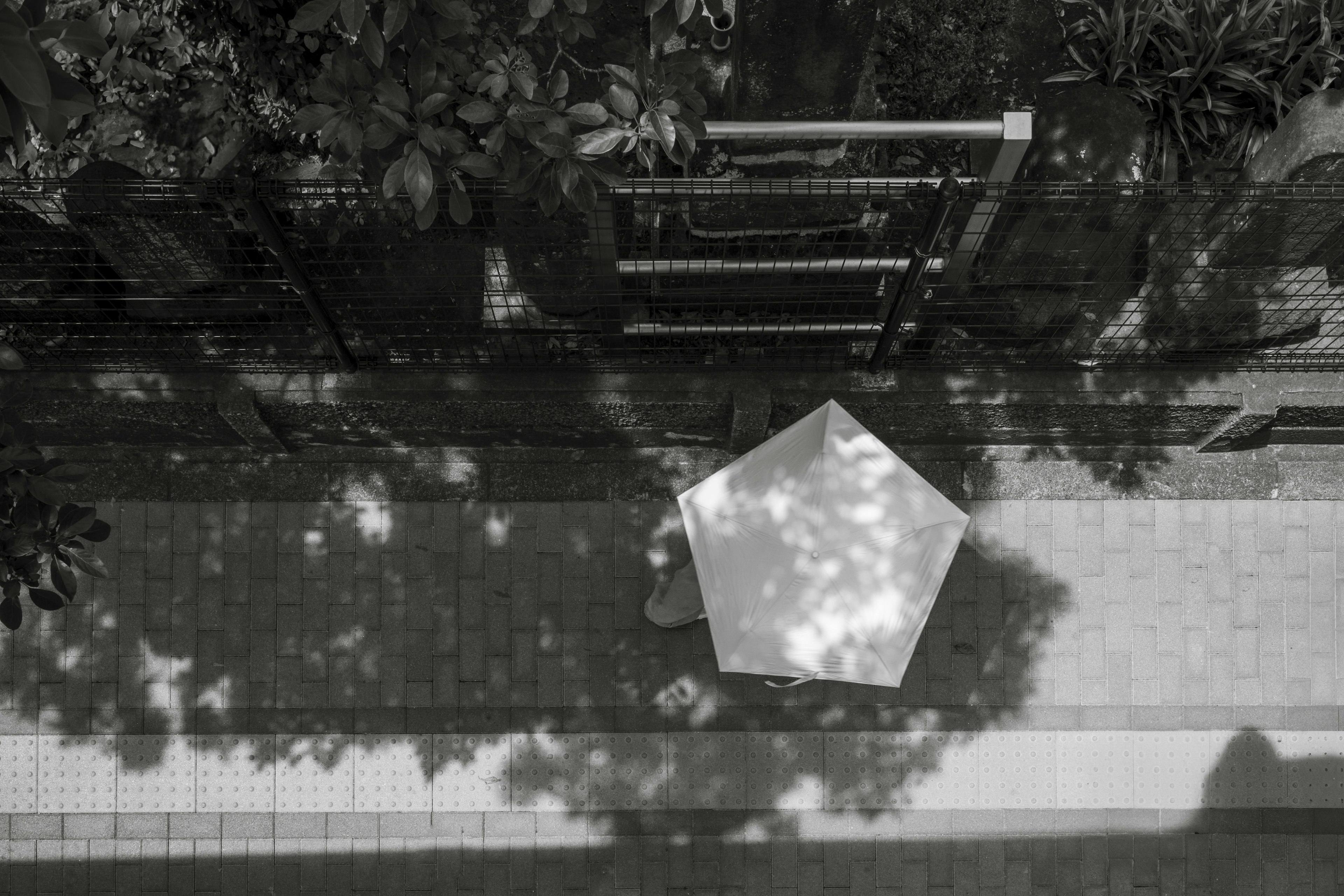 Aerial view of a white hexagonal umbrella surrounded by green leaves