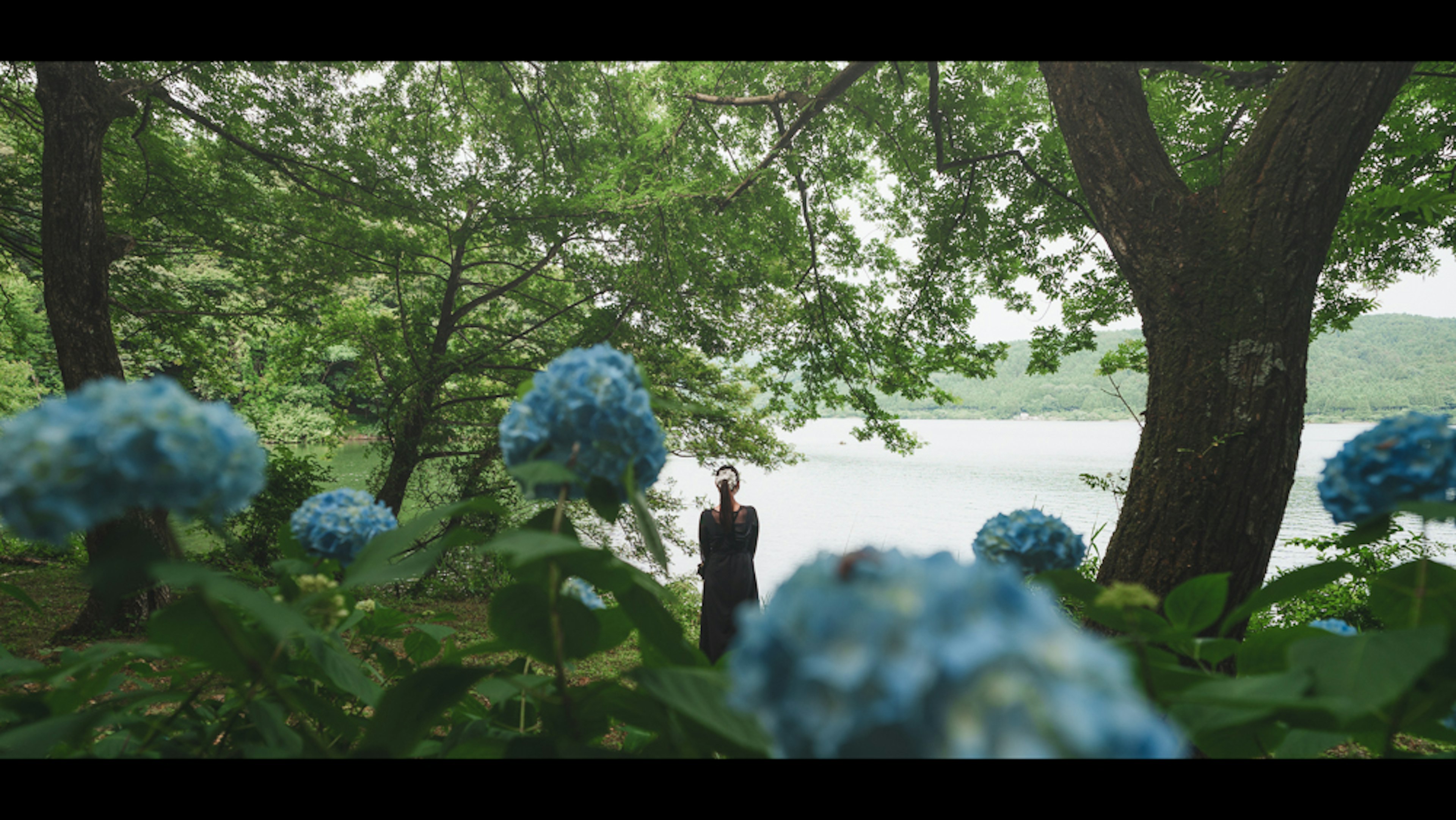 Sebuah sosok berdiri di dekat danau dikelilingi oleh bunga hydrangea biru dan pohon hijau