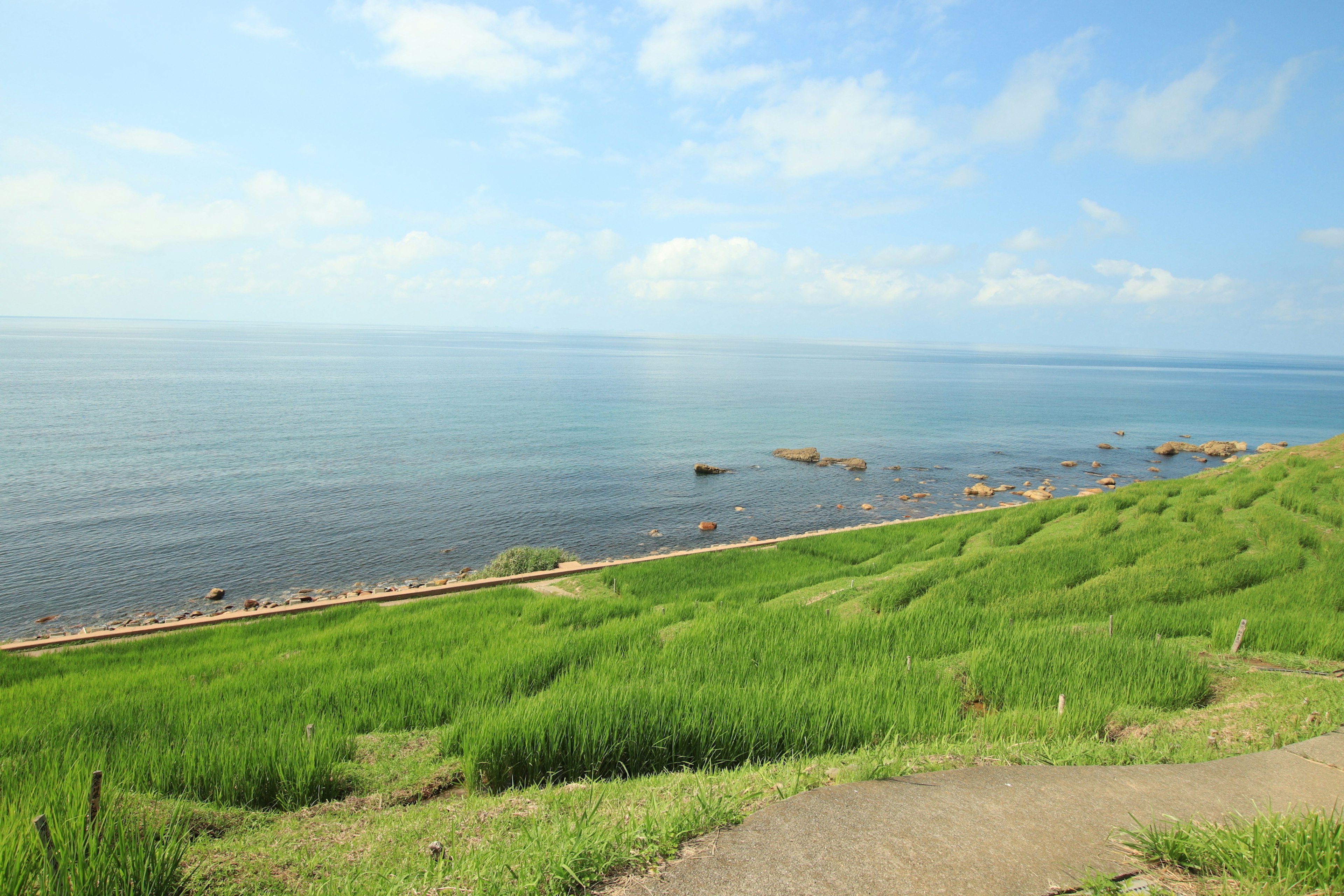 Landschaft mit blauem Ozean und üppigen grünen Wiesen