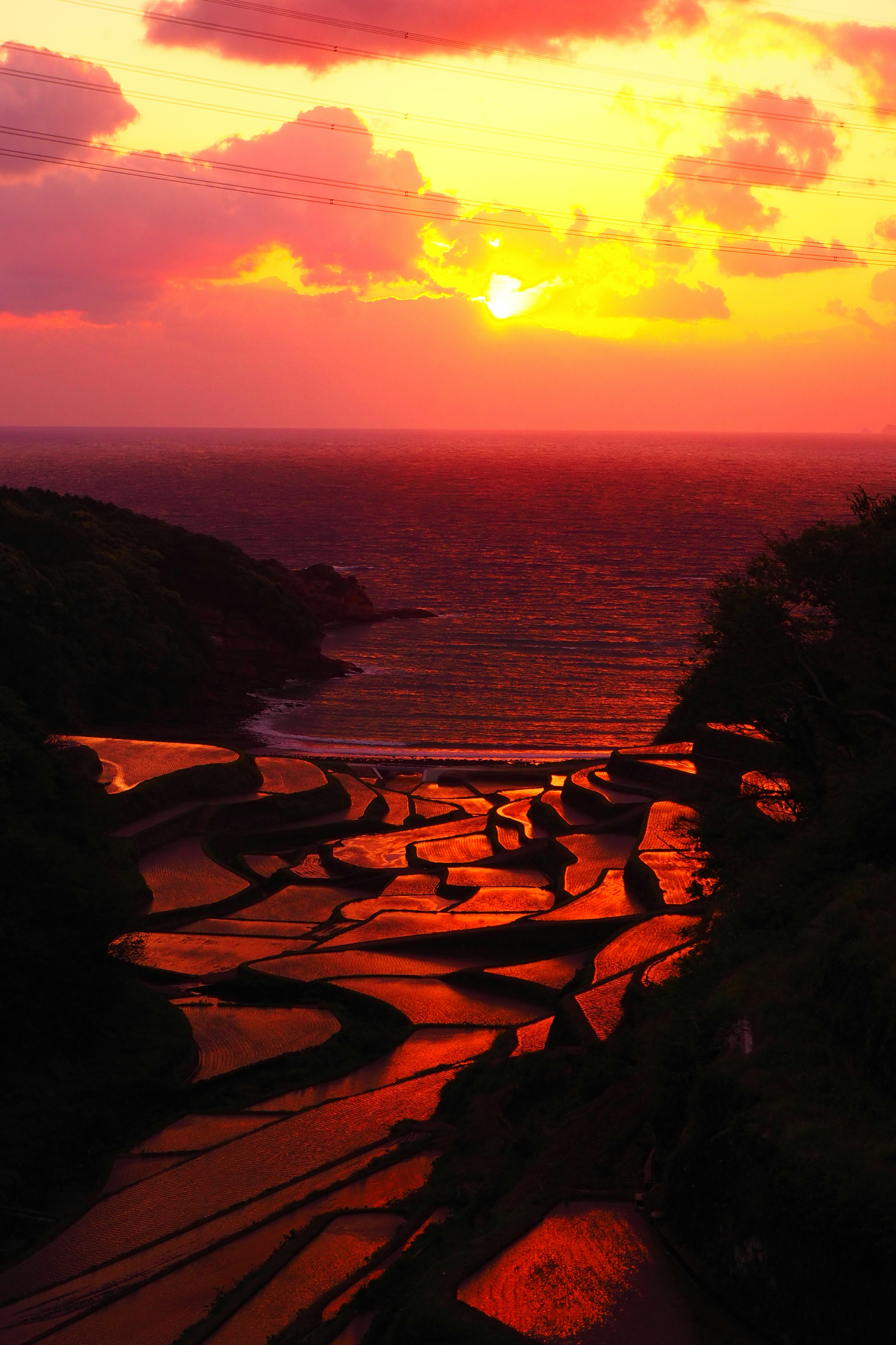 Magnifique coucher de soleil sur l'océan avec des champs en terrasses illuminés