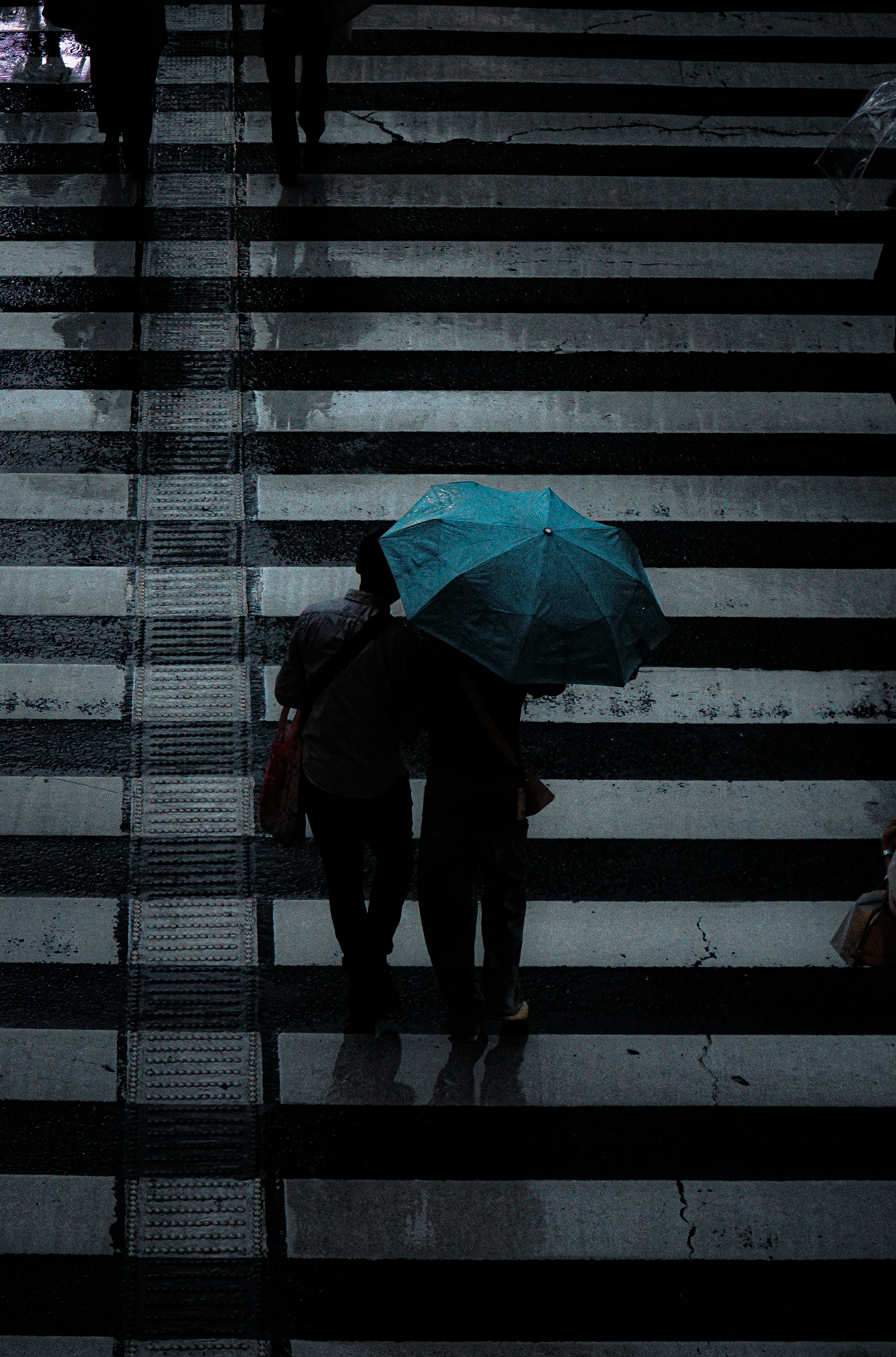 Silhouette of two people holding a turquoise umbrella walking on a wet crosswalk