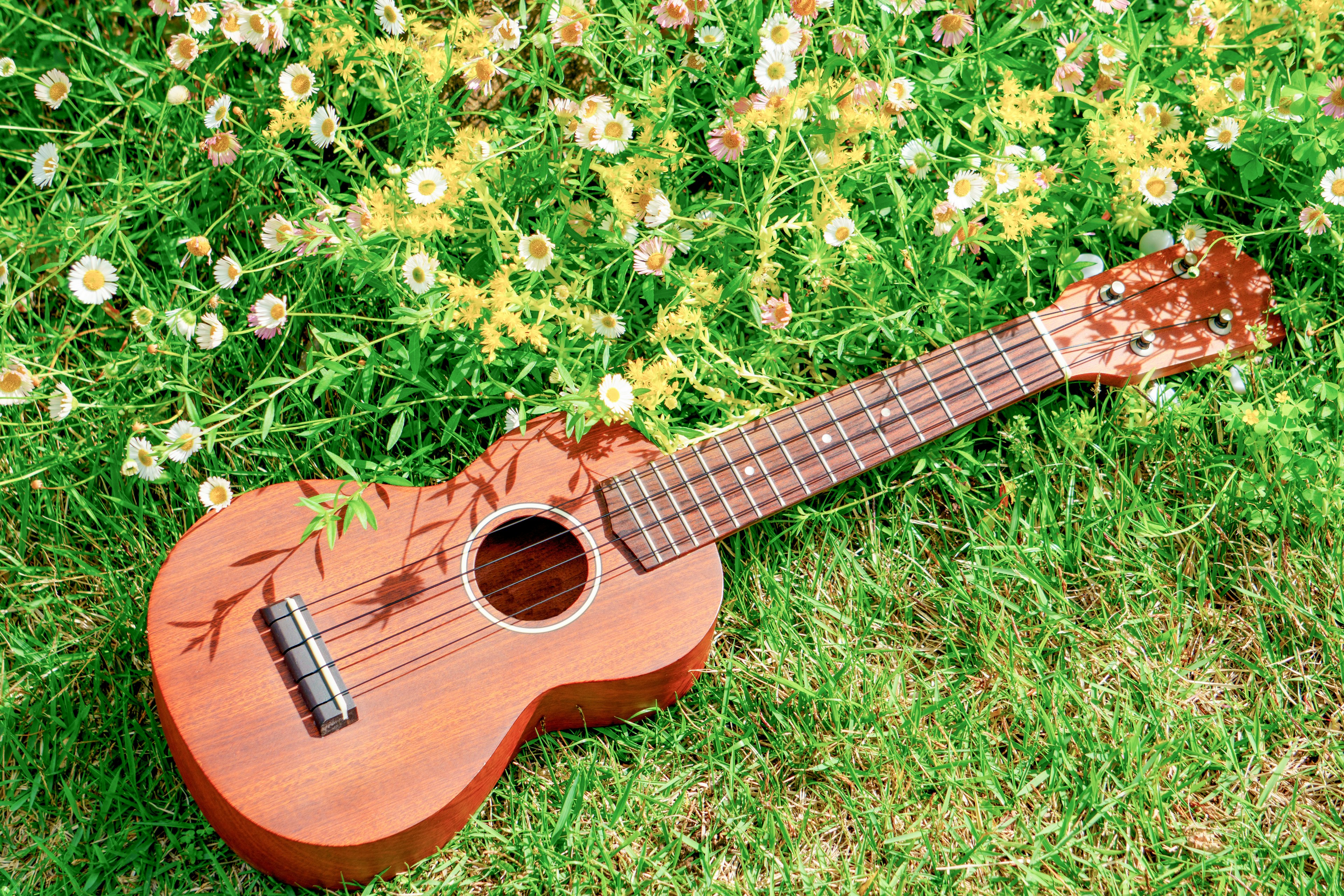 Dekorative Ukulele auf dem Gras umgeben von Blumen