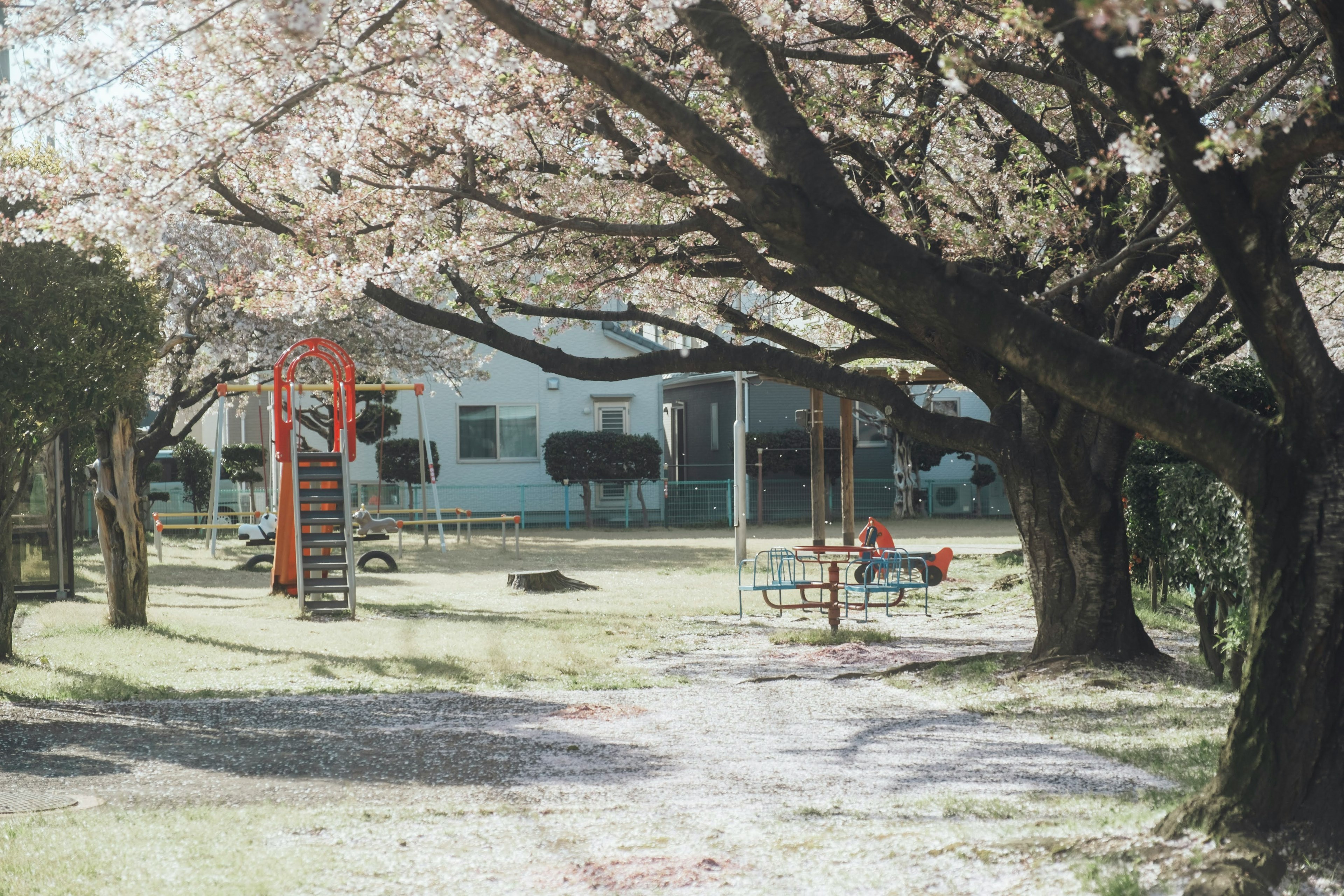 Parque infantil rodeado de cerezos en flor con un tobogán rojo y columpios