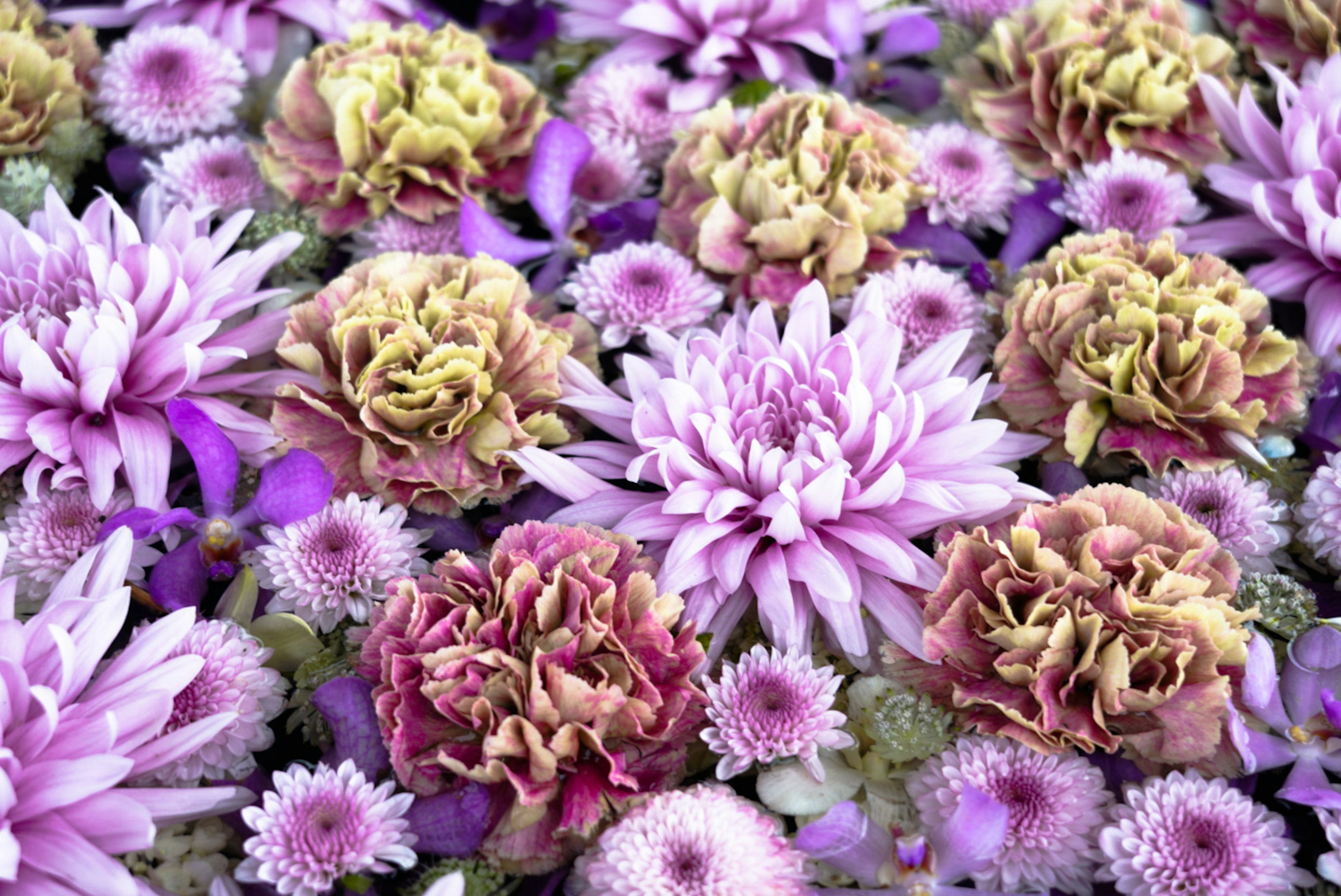 Beautiful arrangement of mixed flowers in vibrant shades