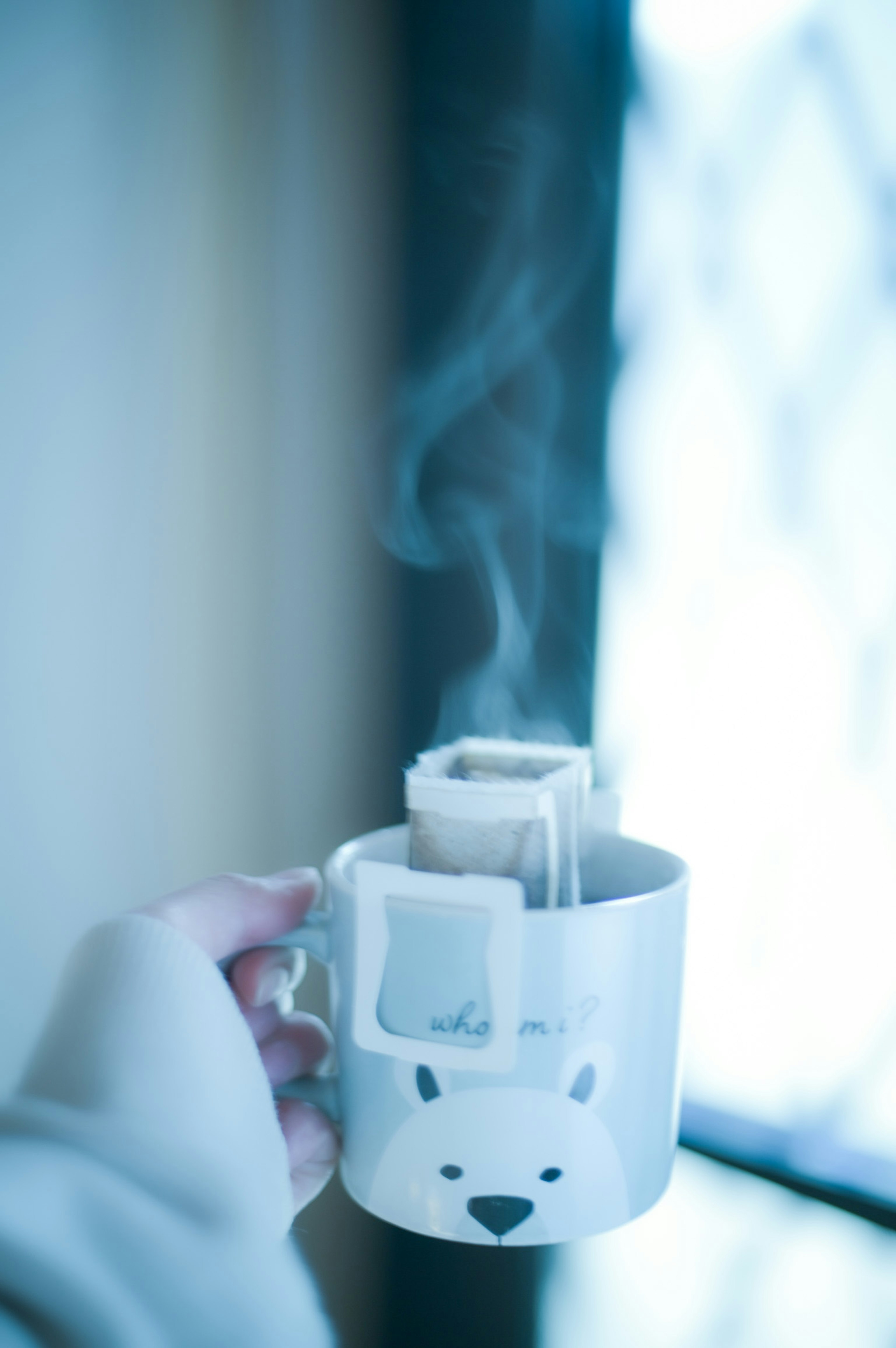 Hand holding a white bear-themed mug with steam rising