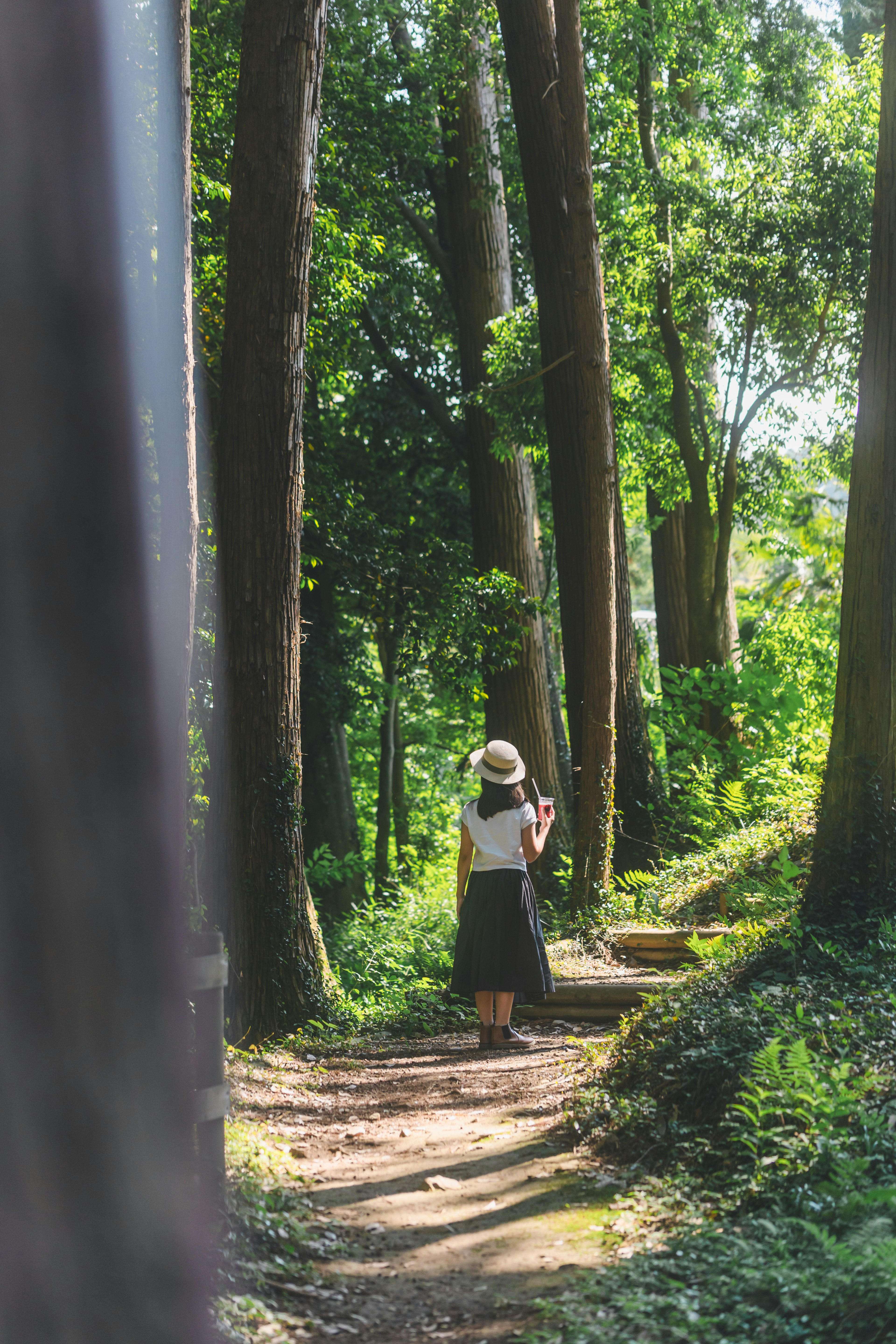 Seorang wanita berjalan di jalur di hutan yang rimbun