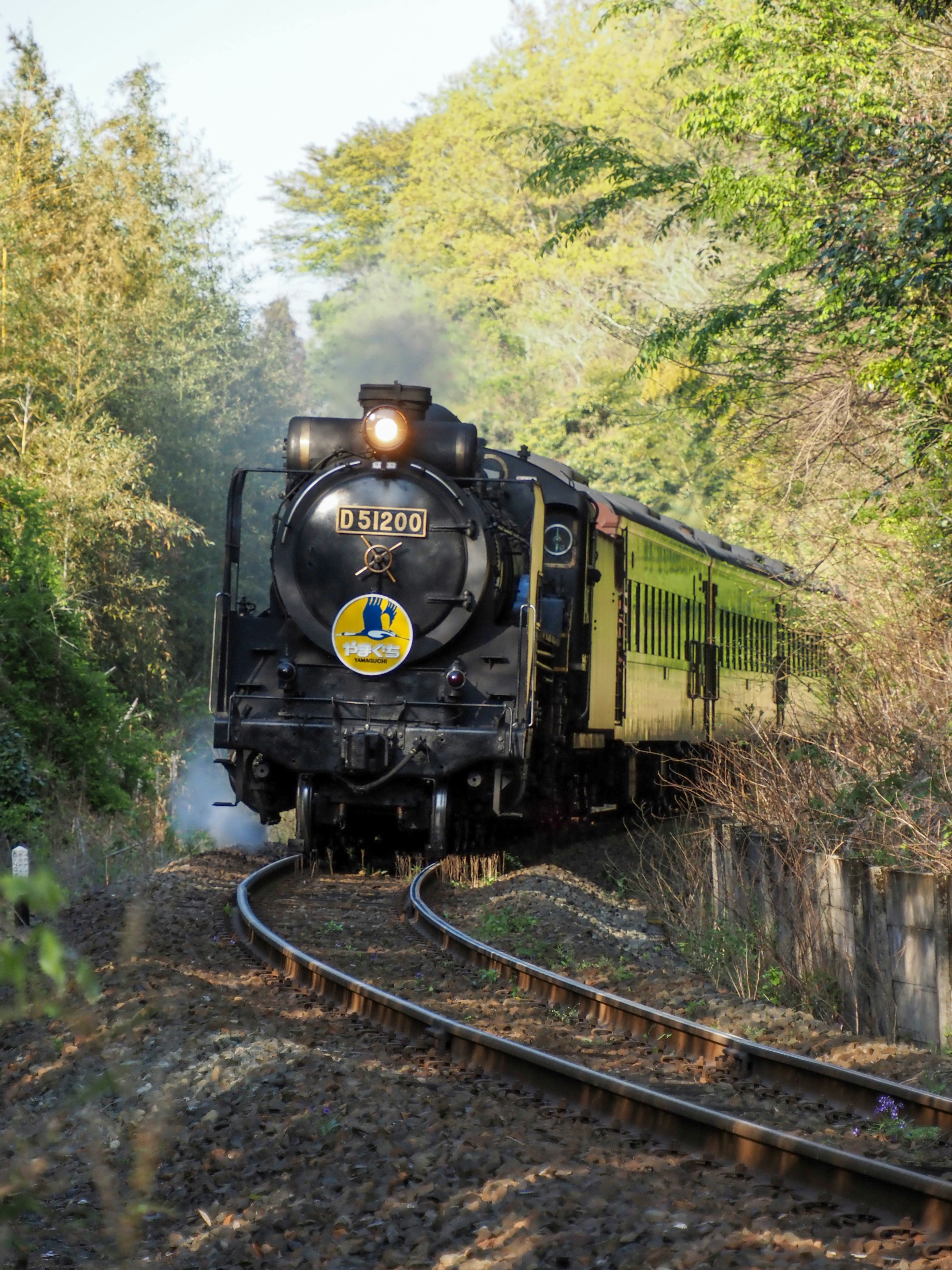 Eine Dampflokomotive, die durch grüne Bäume fährt