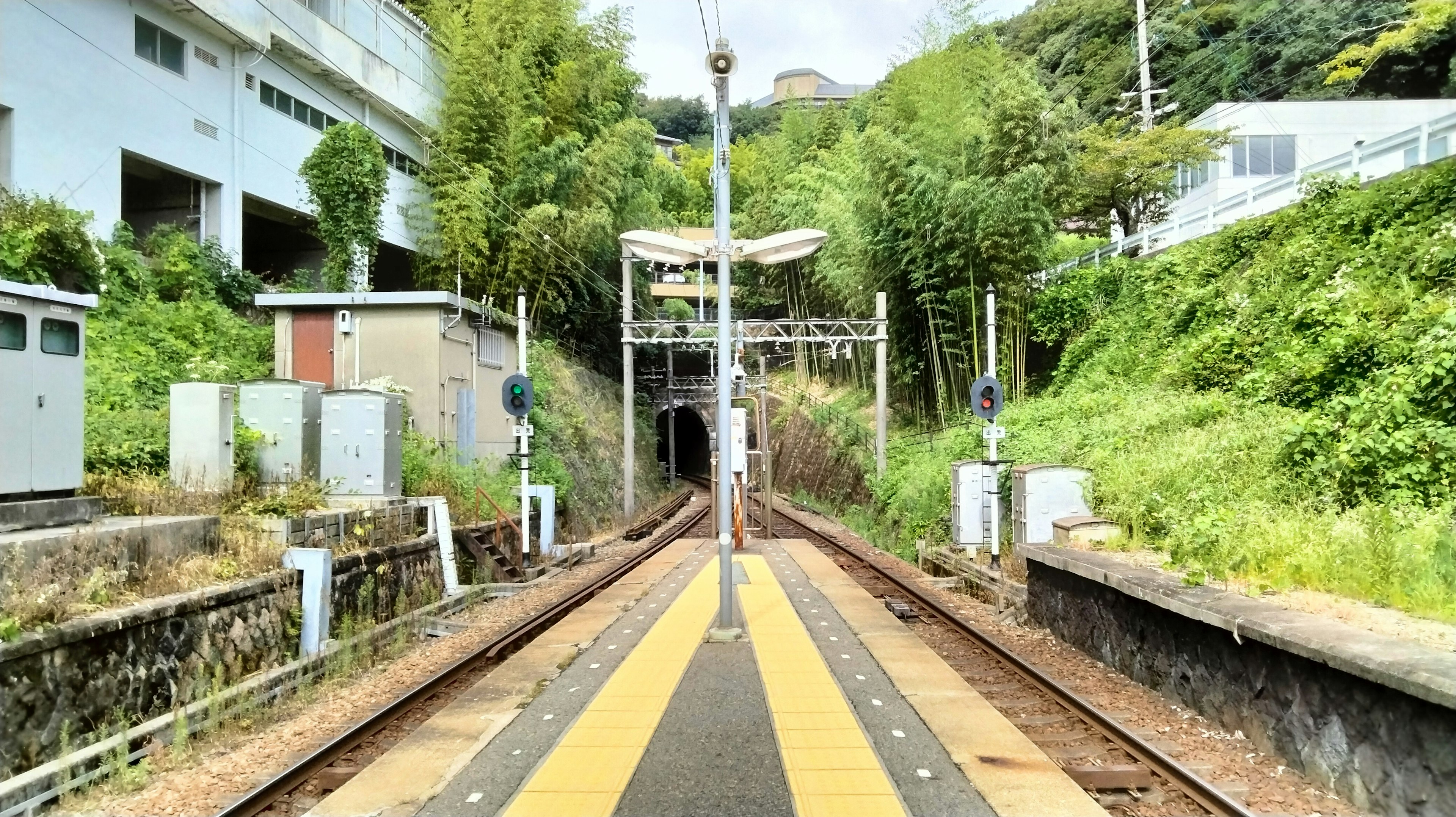 View of a train station platform surrounded by lush greenery