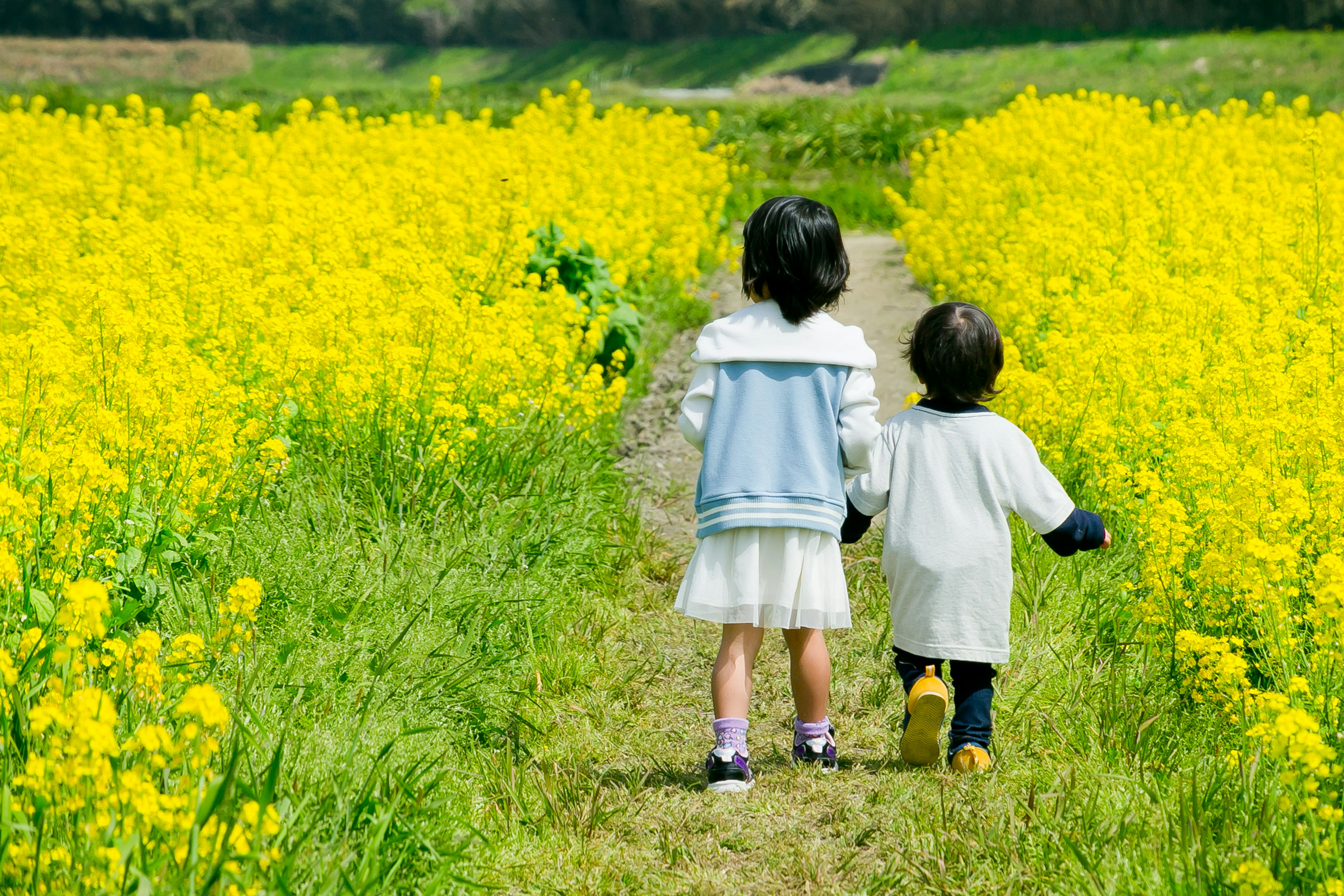 Dos niños caminando por un campo de flores amarillas