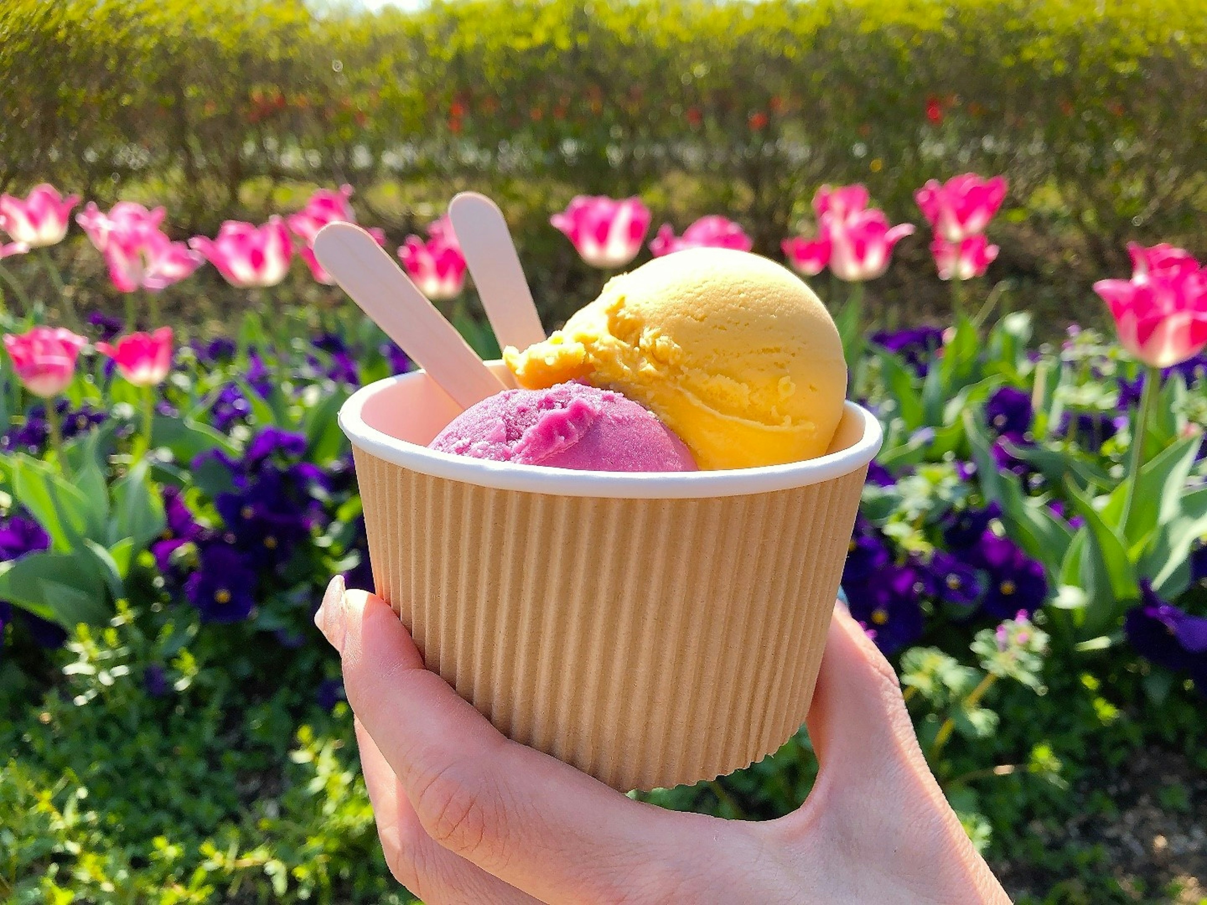 Mano sosteniendo un vaso de helado con bolas rosa y amarilla frente a flores