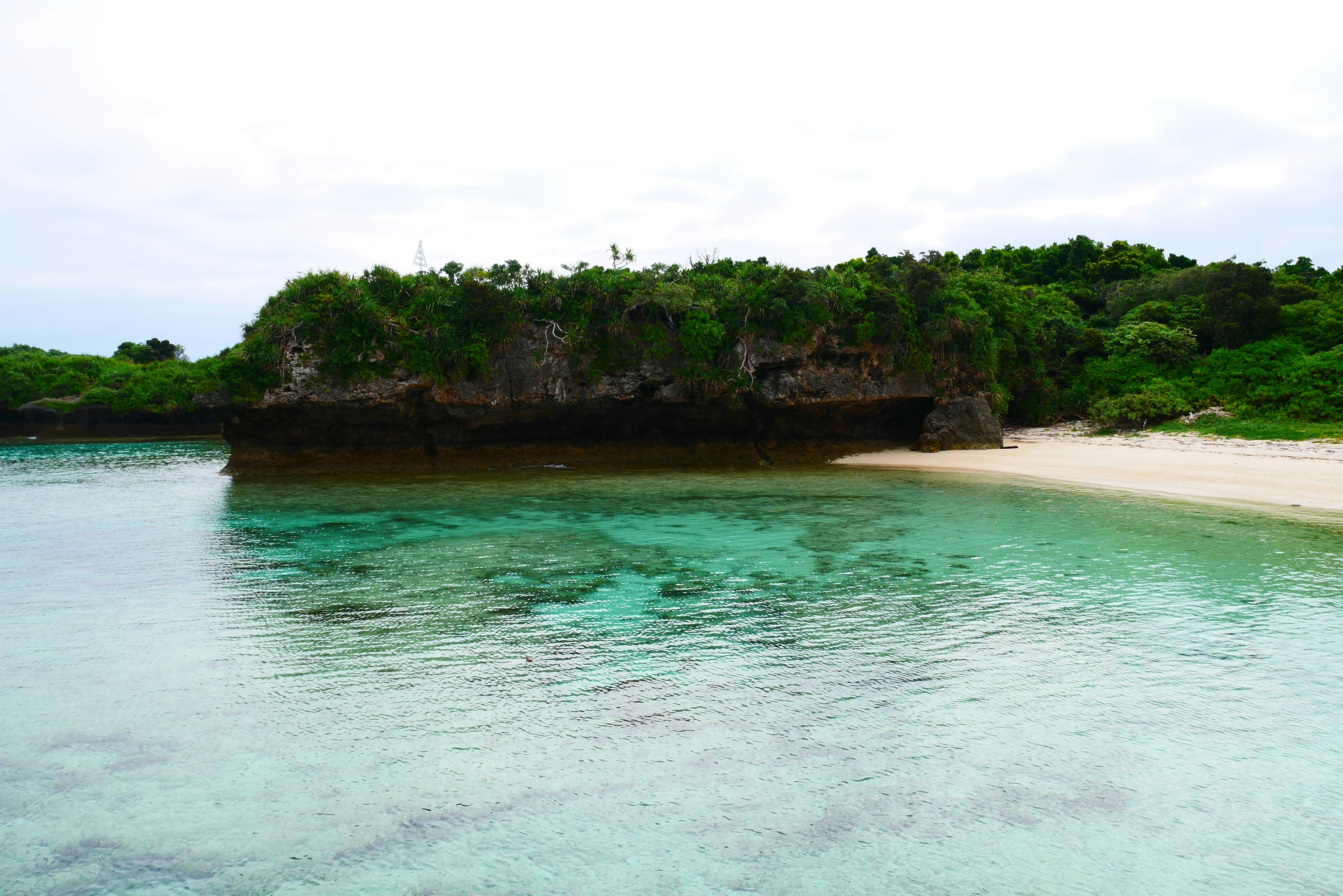 Playa escénica con acantilados verdes y agua clara