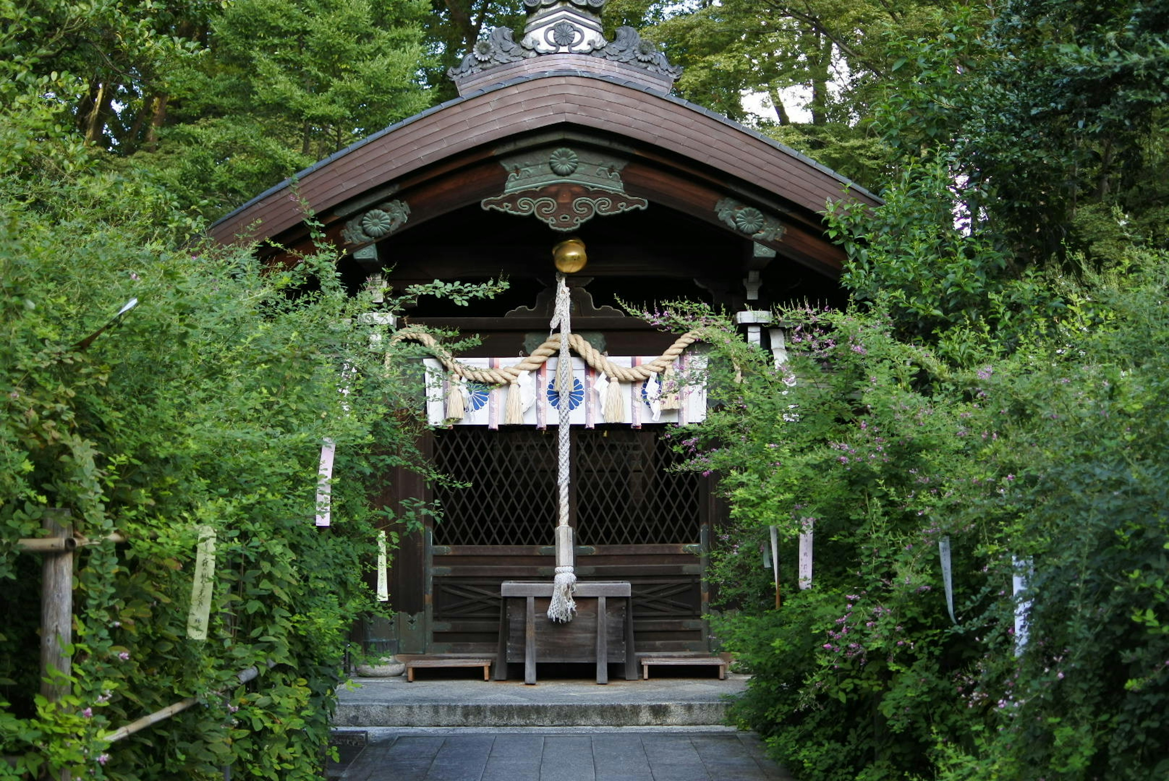 被绿色植物包围的神社入口 传统建筑装饰华丽的屋顶和神圣气氛