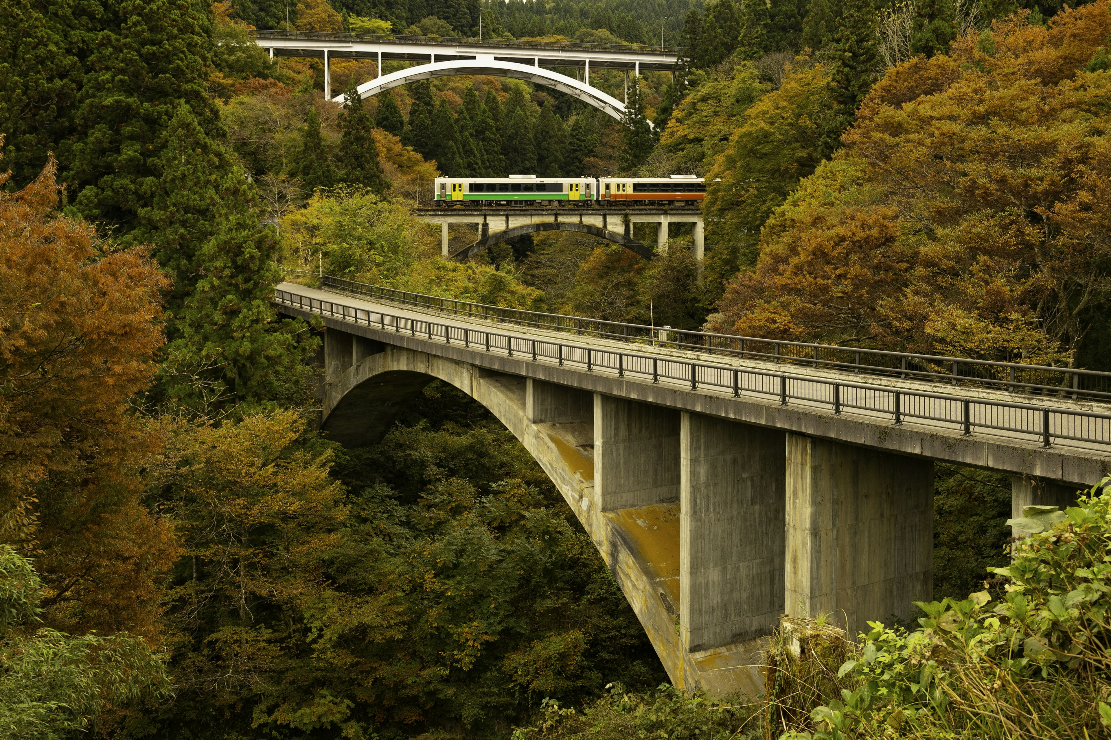 美しい秋の風景に架かる二つの橋と列車