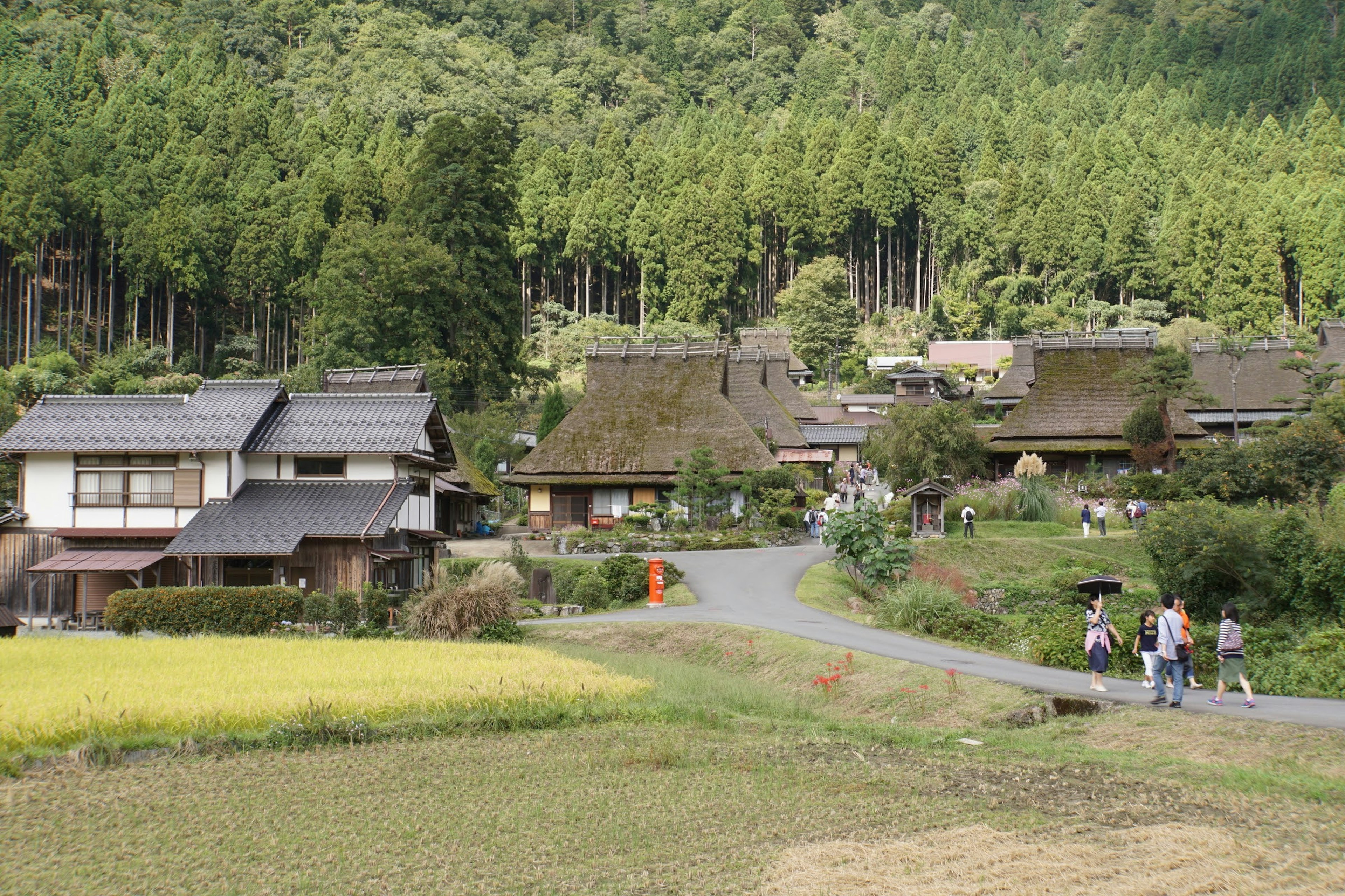 Paisaje de un pueblo japonés tradicional rodeado de montañas verdes con casas antiguas y campos de arroz