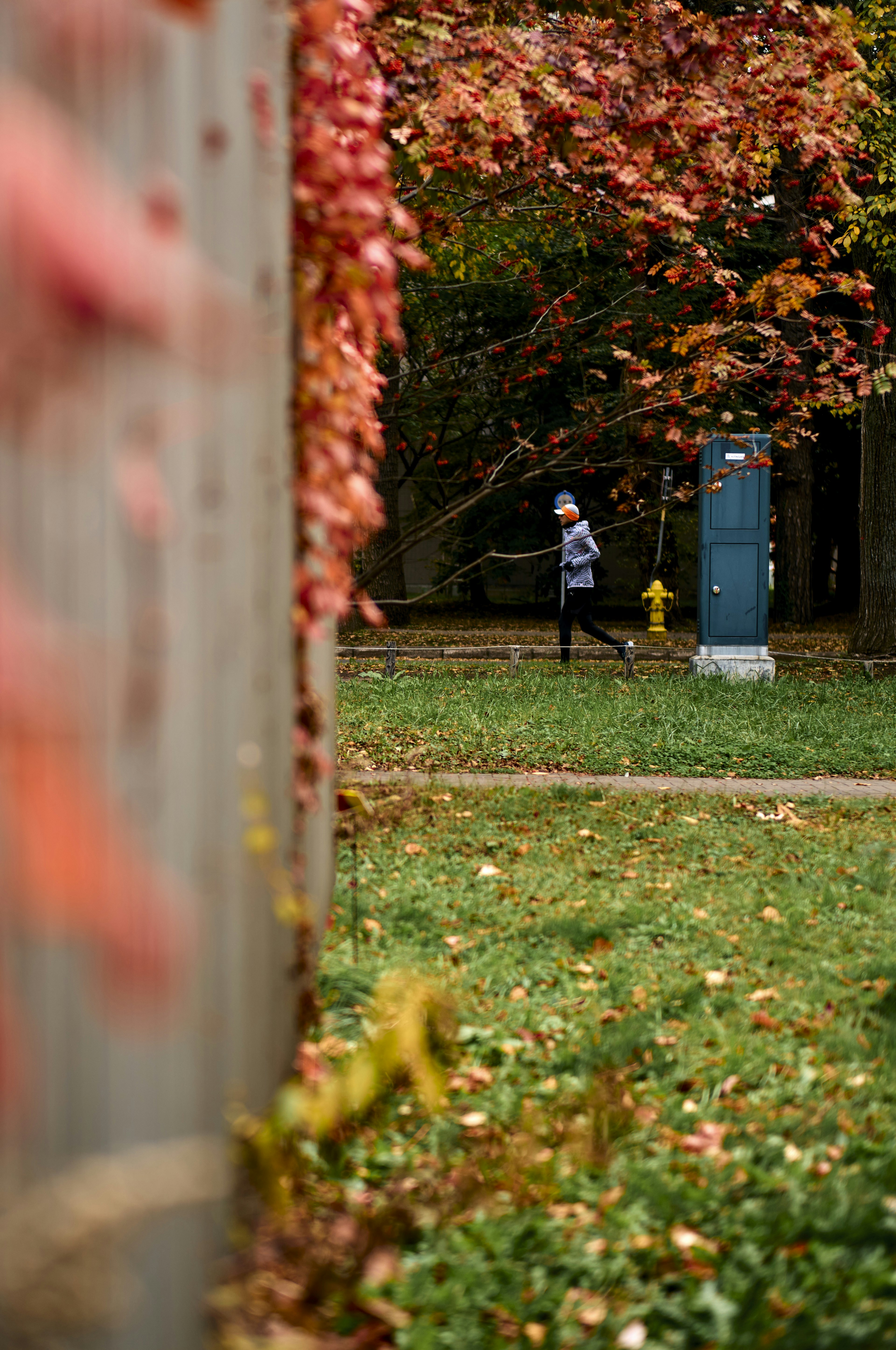 Persona che cammina in un parco con foglie autunnali