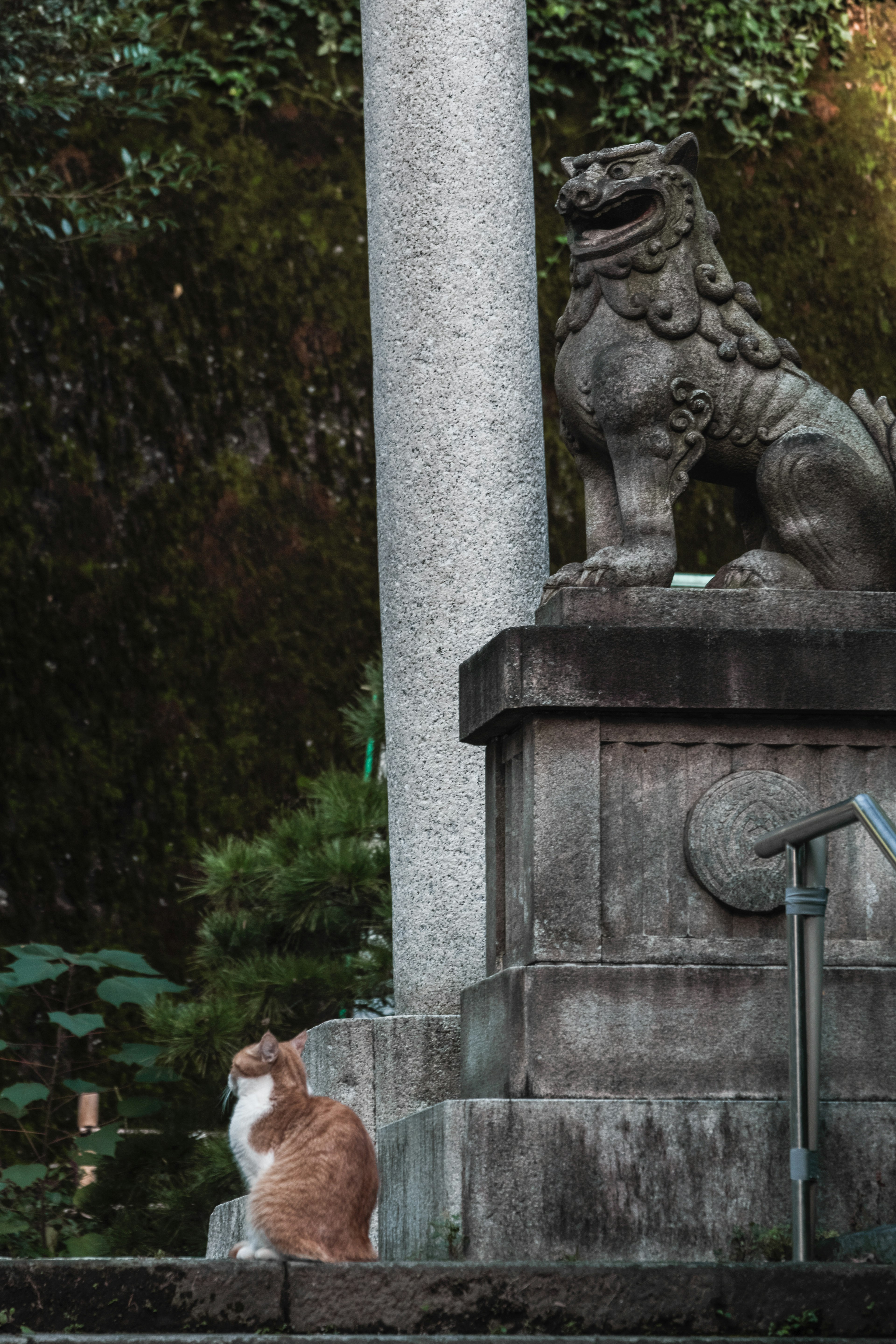 Un gatto seduto accanto a una statua di leone in pietra