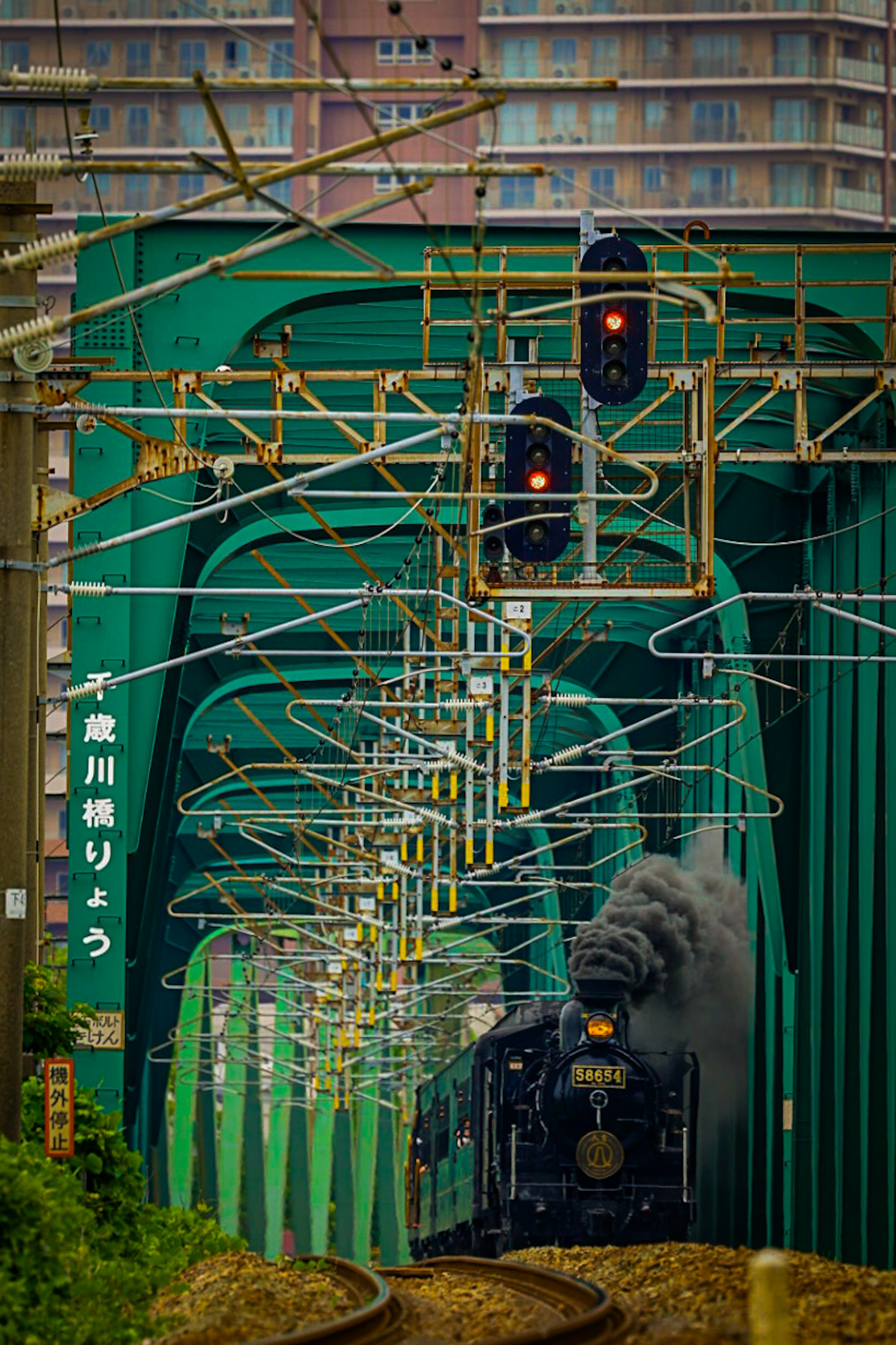 Locomotiva a vapore che passa sotto un ponte verde con semafori