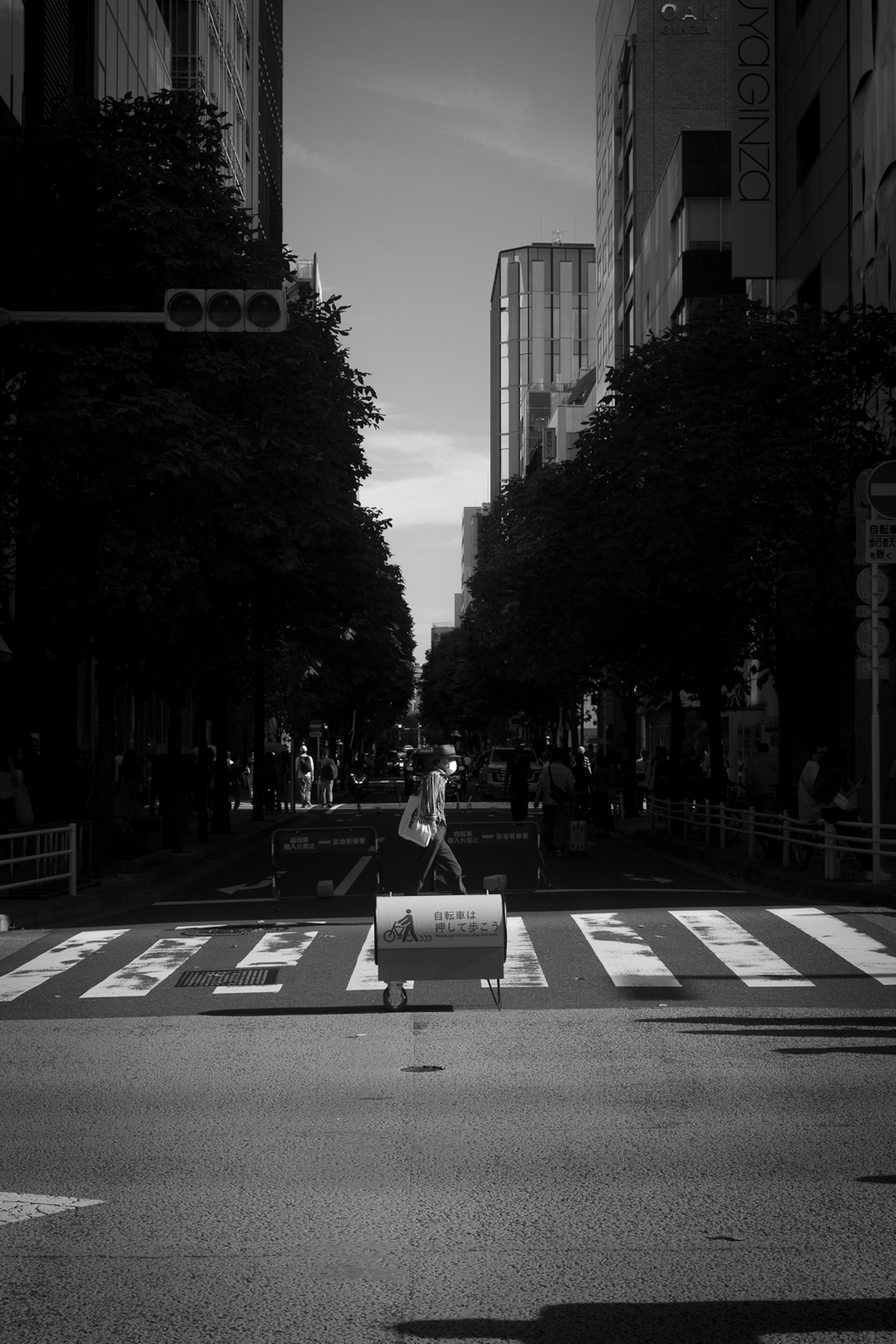 Escena urbana en blanco y negro con una persona cruzando un paso de cebra y franjas de calle