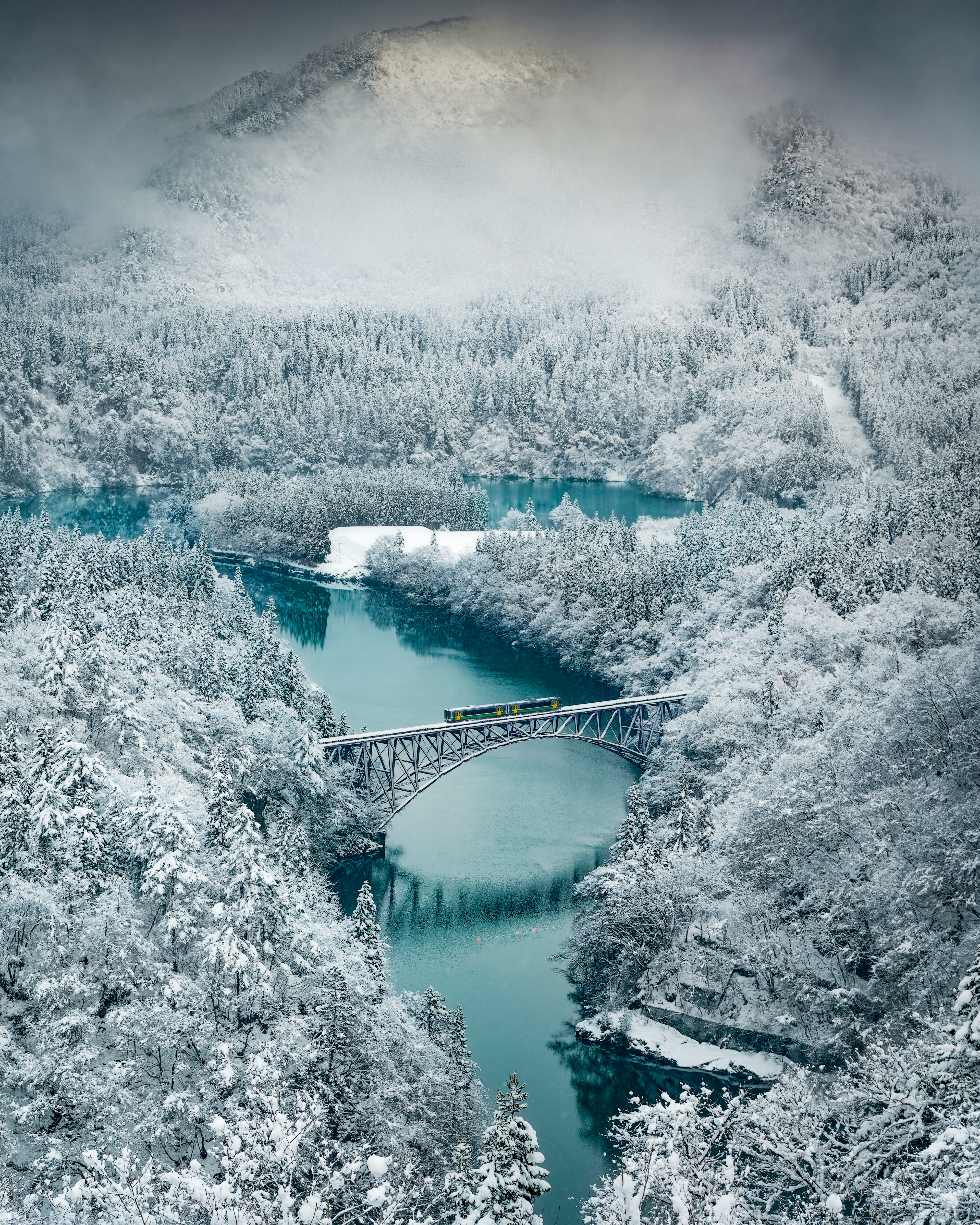 Beautiful landscape with snow-covered forest and flowing blue river