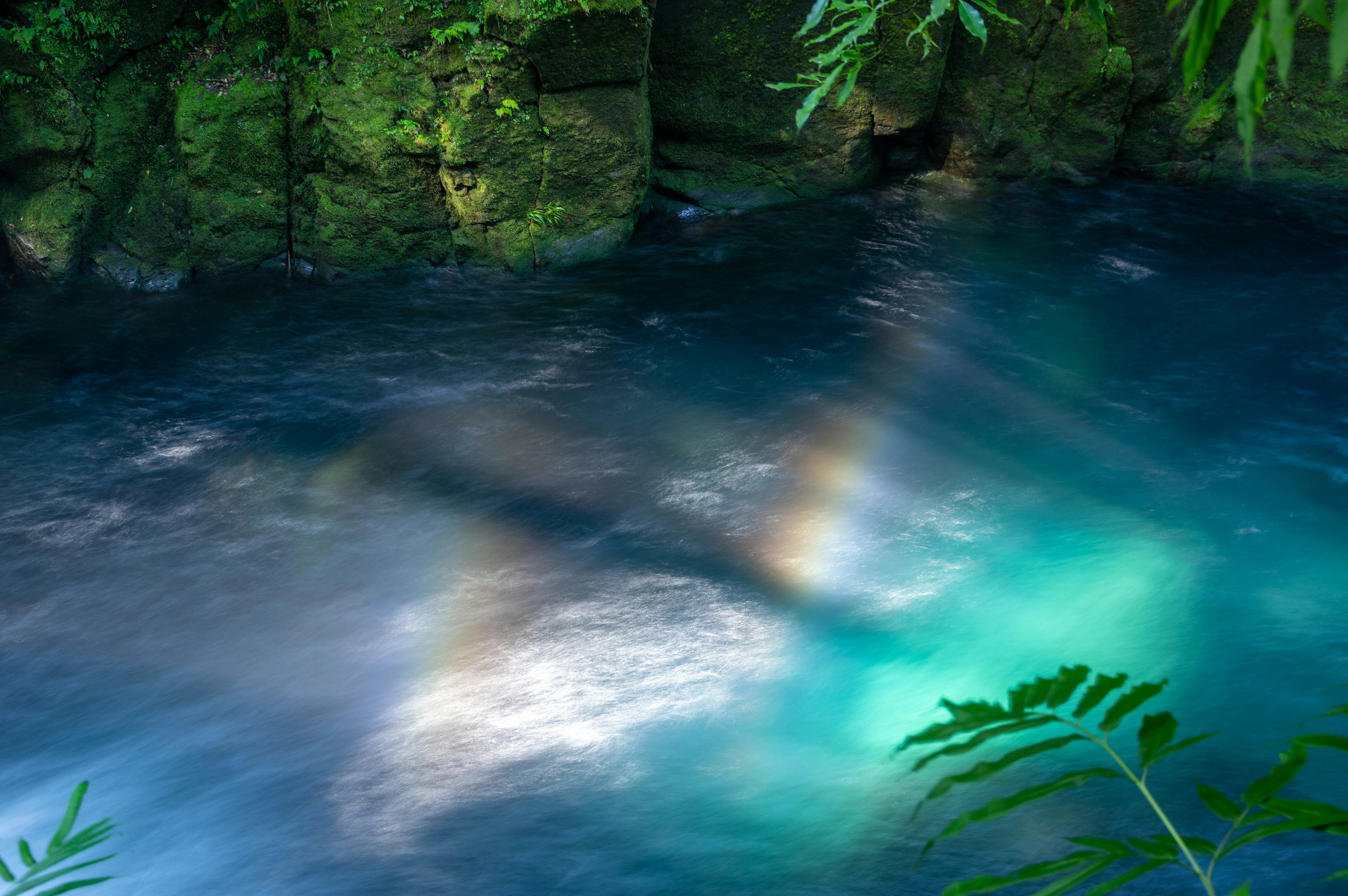 Beautiful reflections of light and shadow on blue water surrounded by green leaves in a natural setting