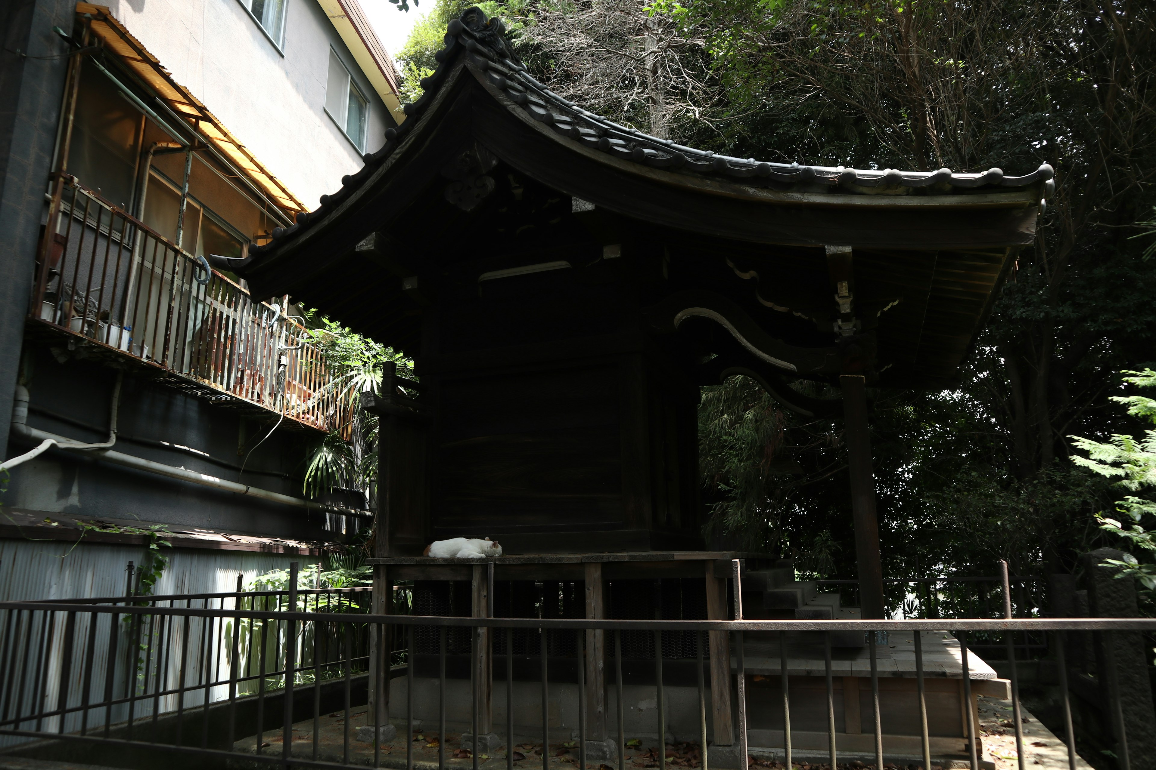 森の中にある伝統的な日本の神社の建物