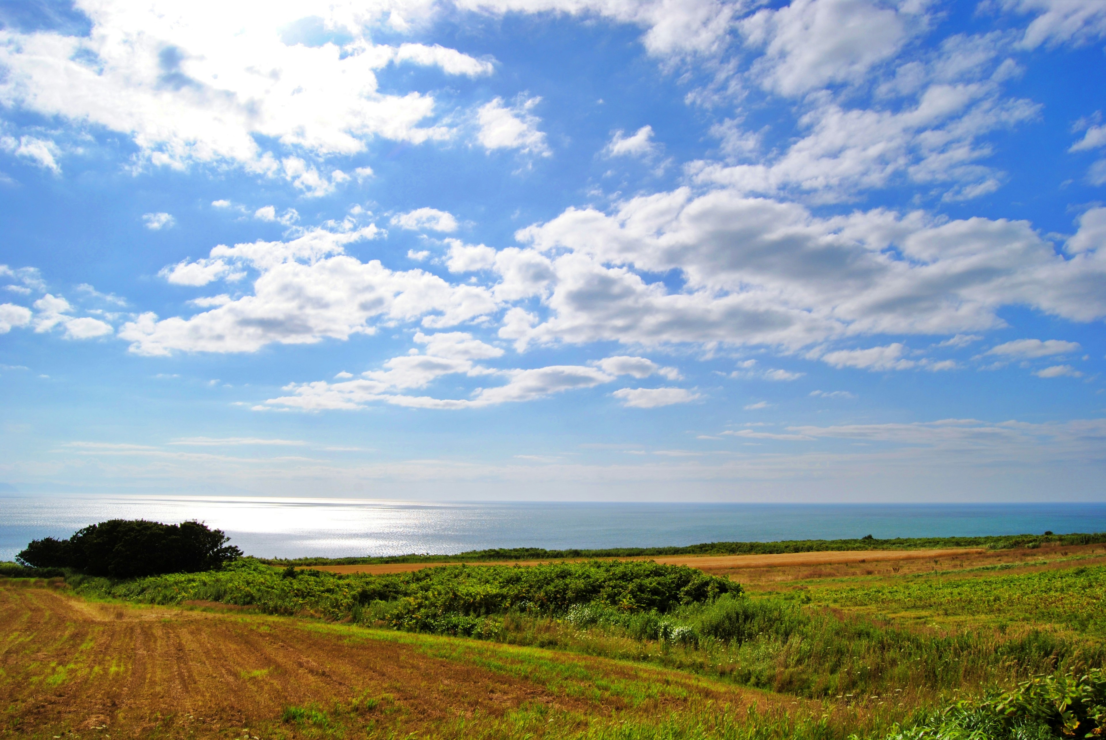 Malersiche Aussicht auf den Ozean unter einem blauen Himmel mit Wolken grüne Felder und goldene Ernten