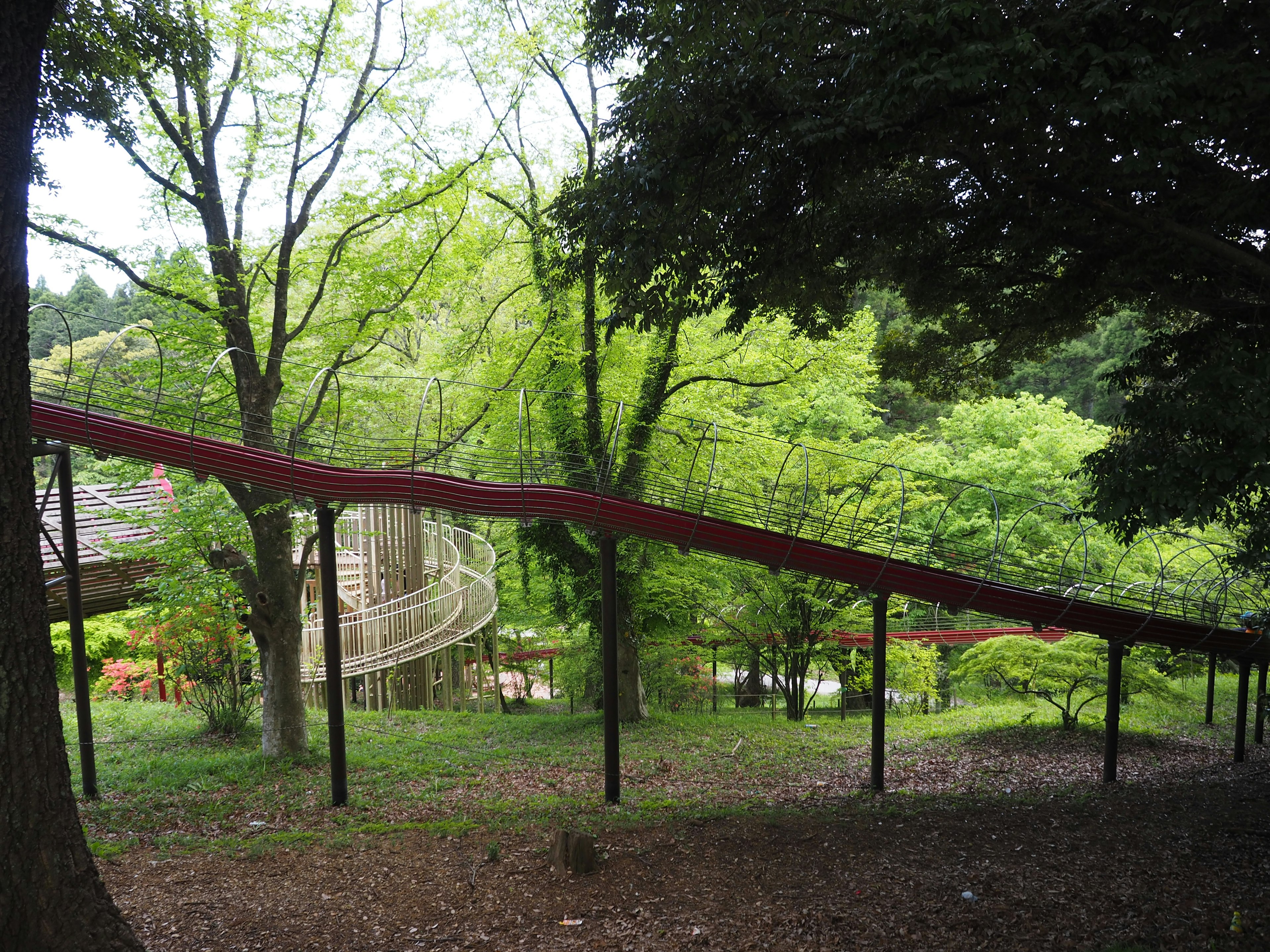 公園裡綠意盎然的滑梯圖像