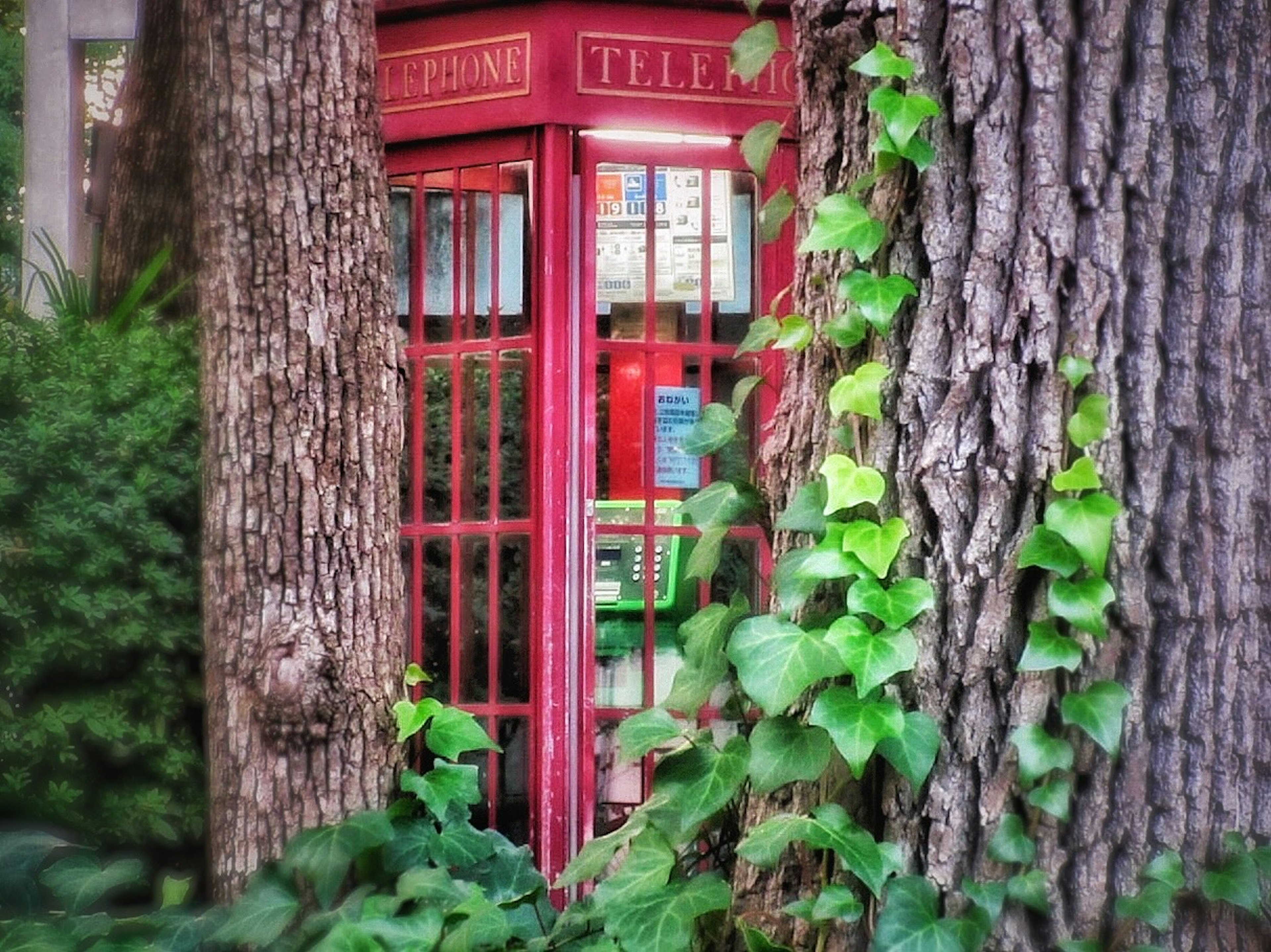 Red telephone booth surrounded by greenery