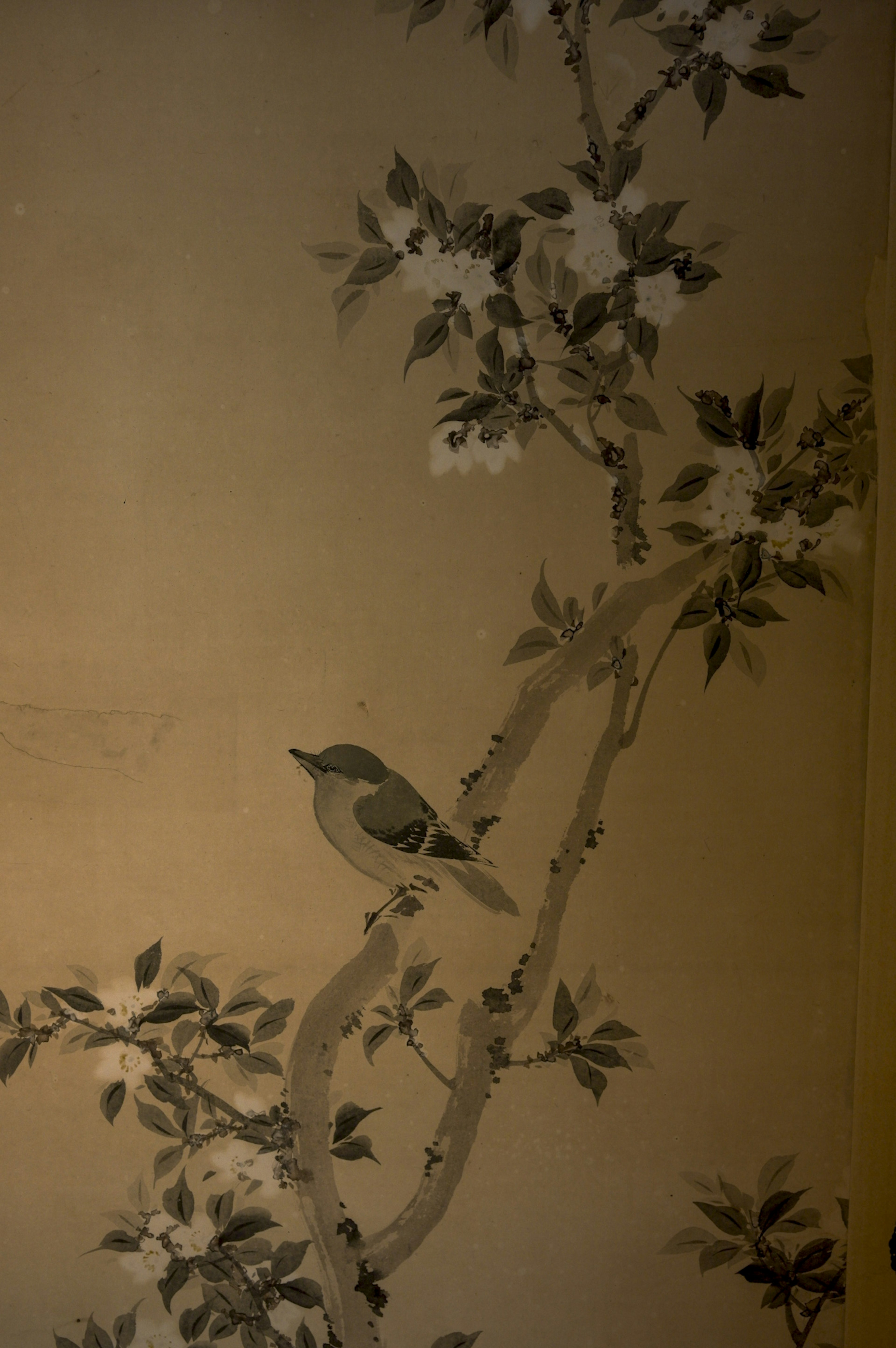 A mural featuring a bird and flowers on a light-colored background