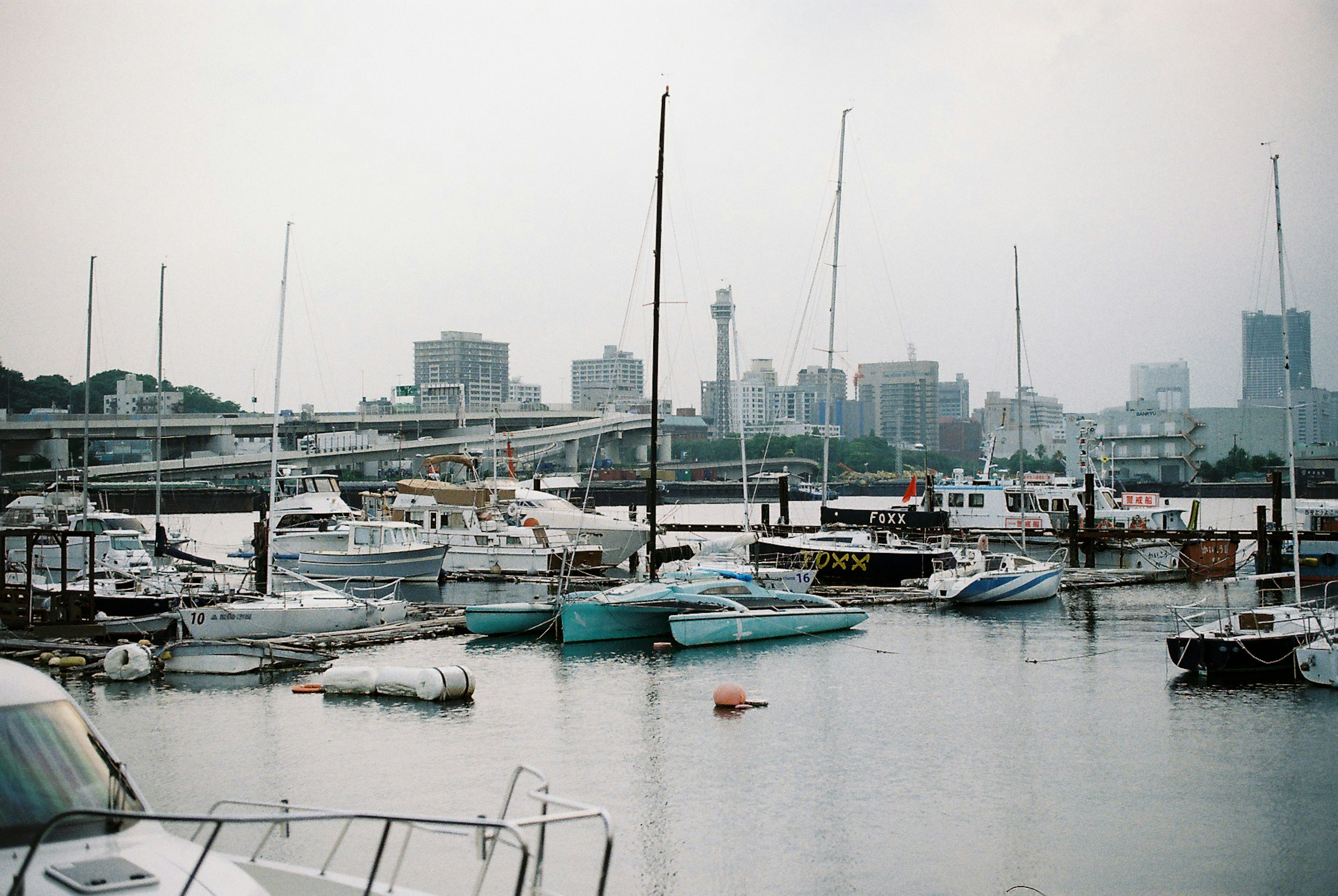 Boats docked in a harbor with city skyline in the background