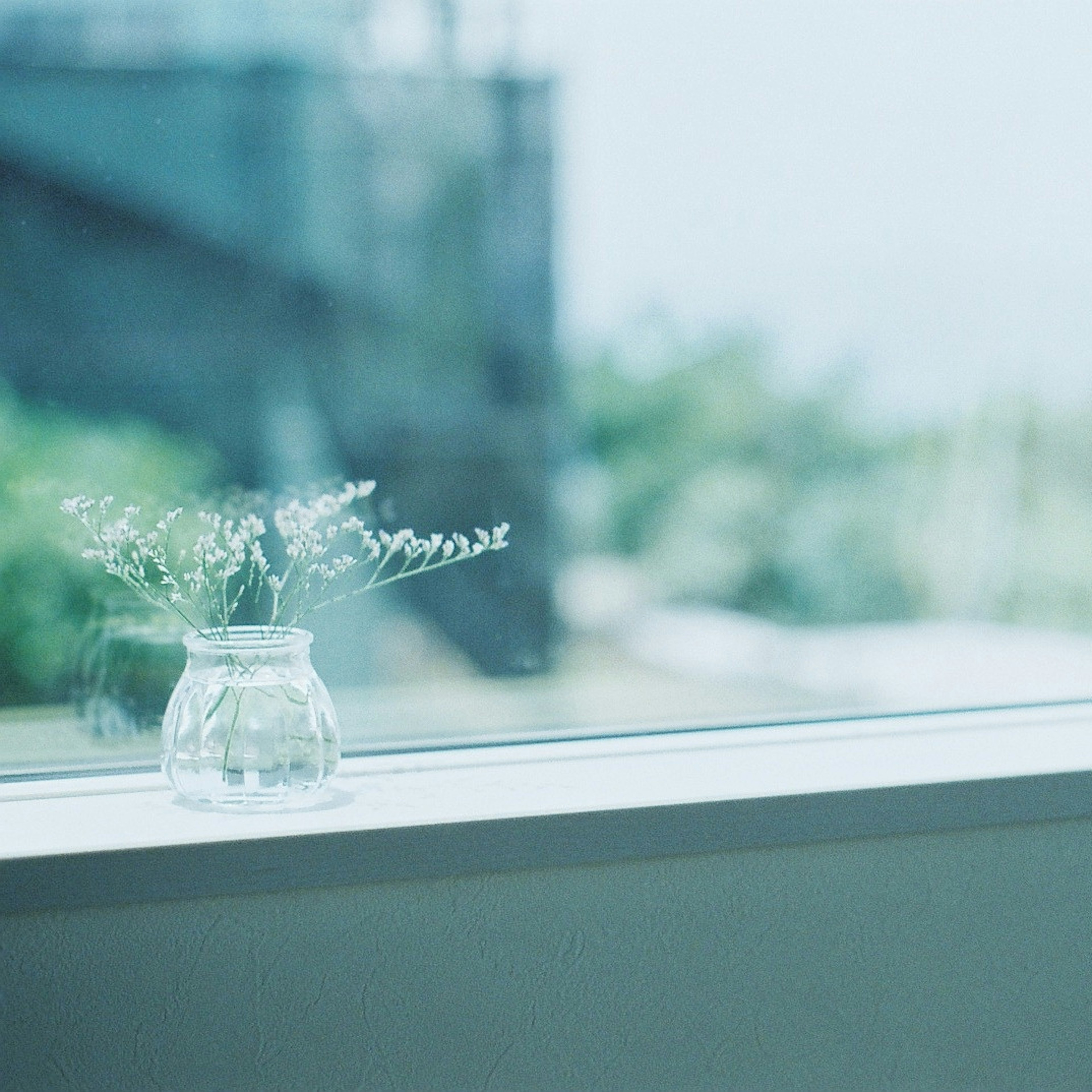 A small plant in a clear jar placed on a windowsill