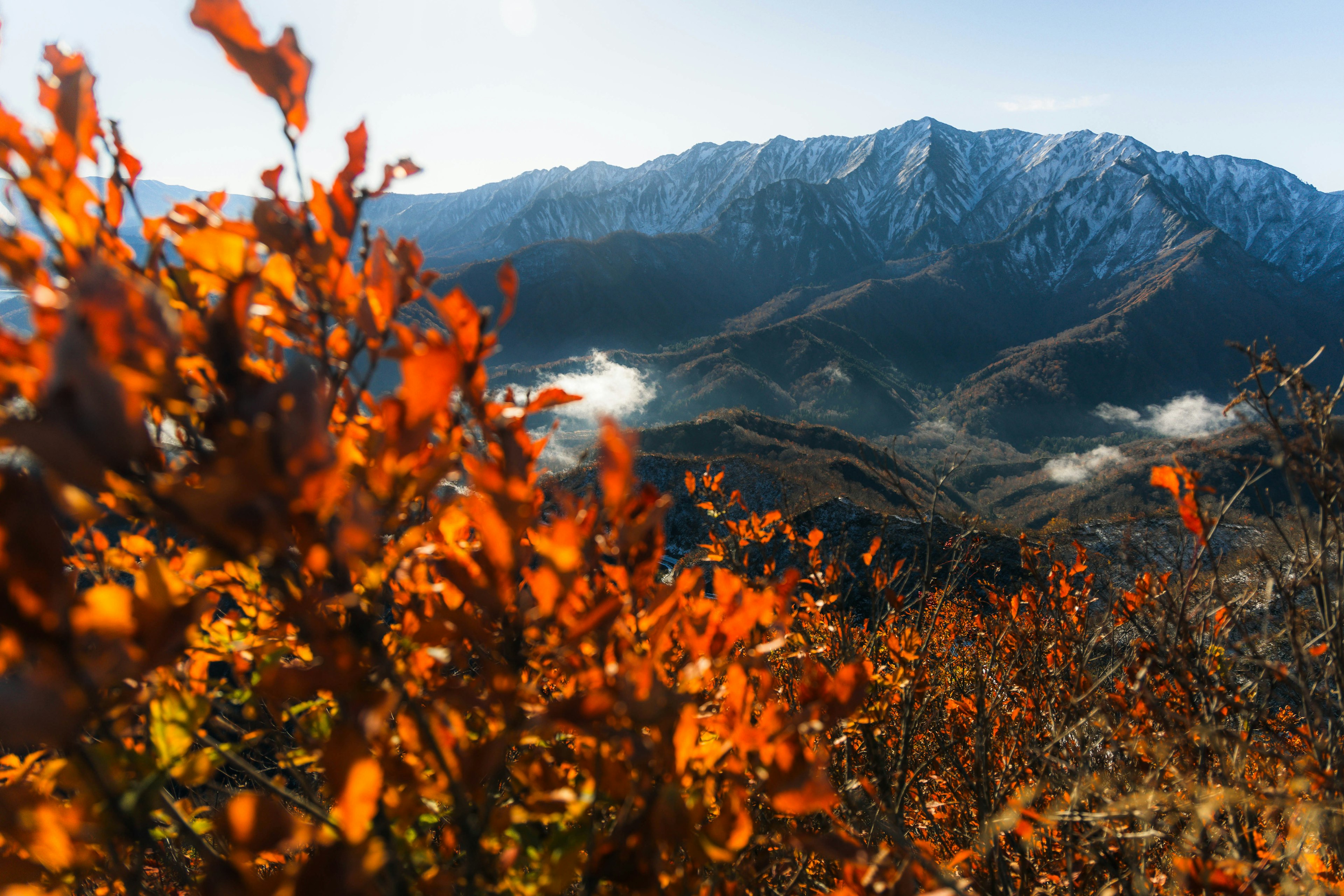 Belles montagnes d'automne avec gros plan sur des feuilles orange