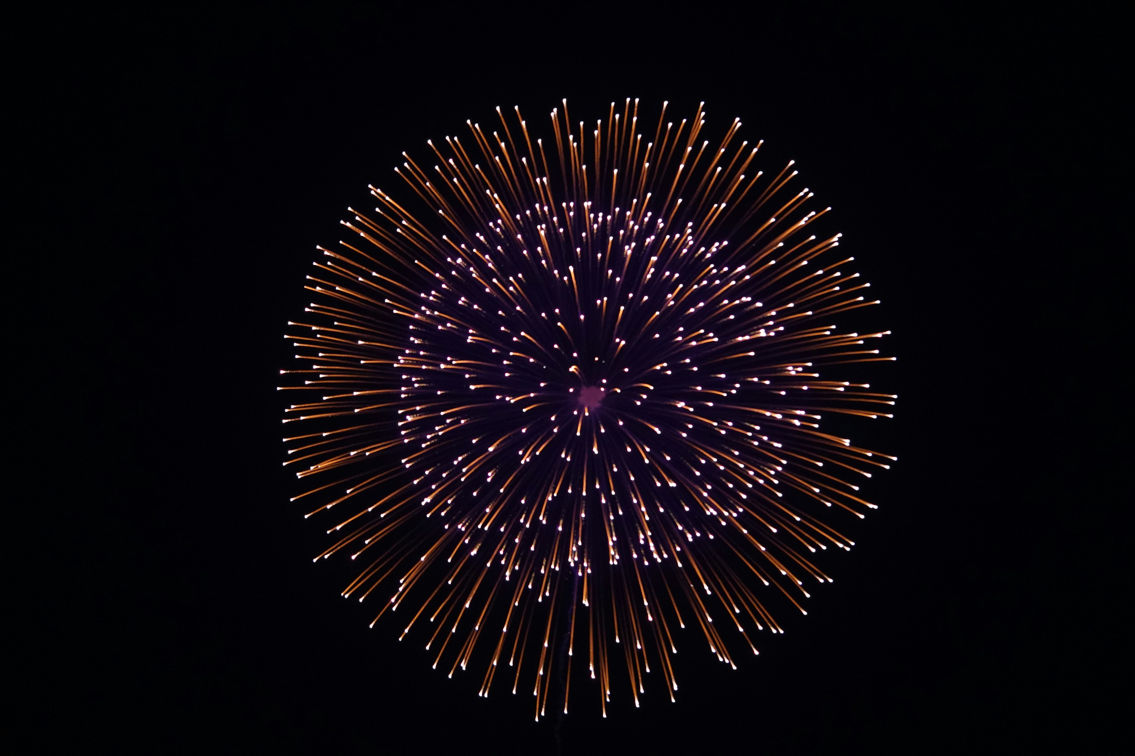 Firework explosion in a dark sky