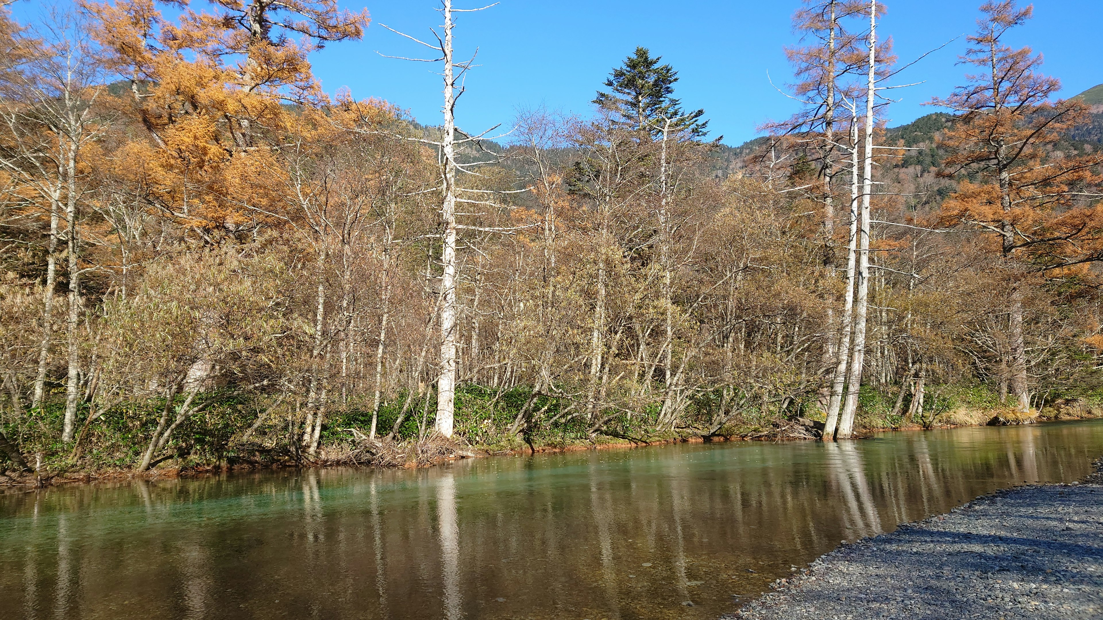 Escena de río tranquila con follaje de otoño