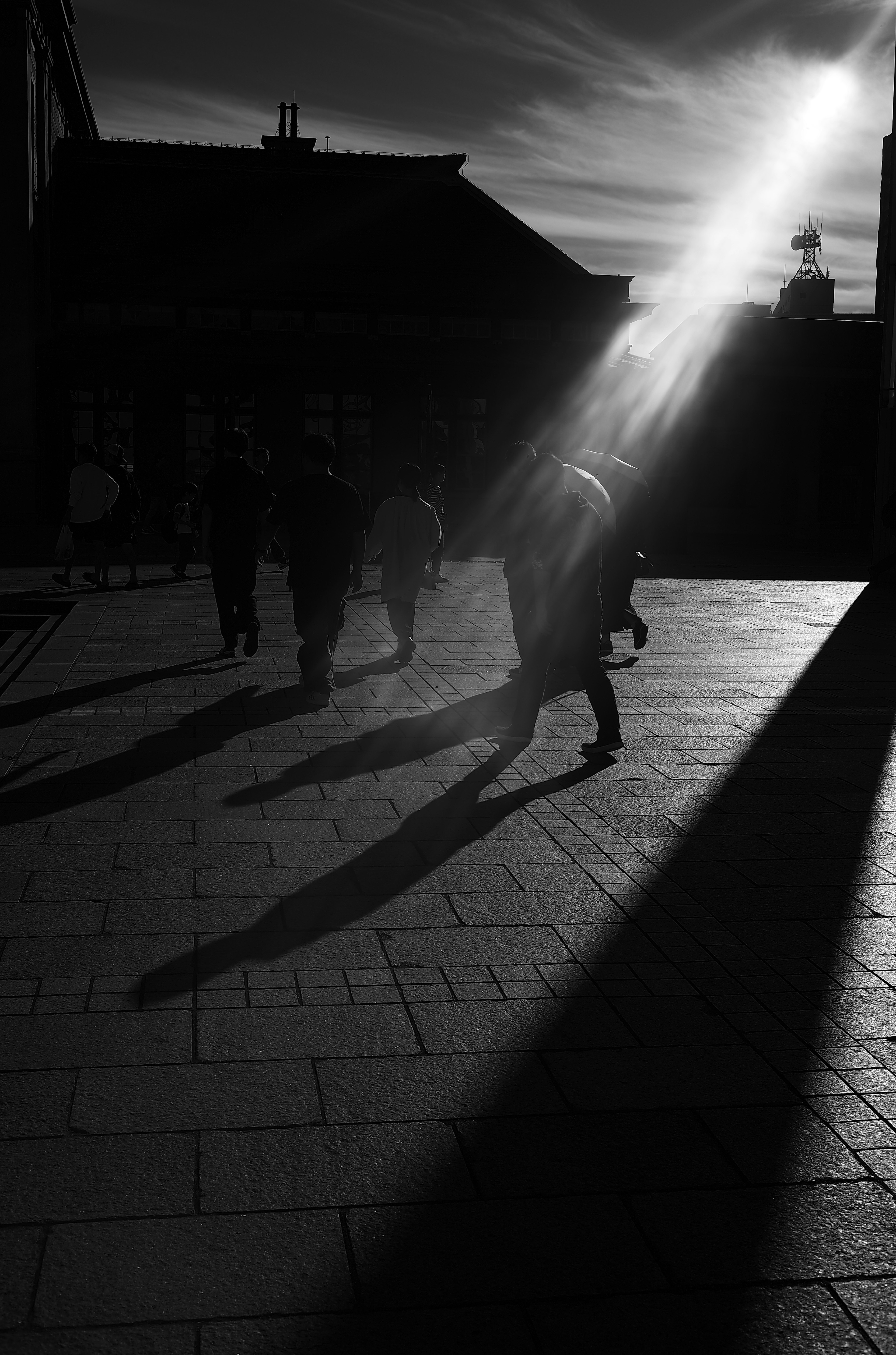 Escena en blanco y negro de personas caminando proyectando largas sombras en una calle