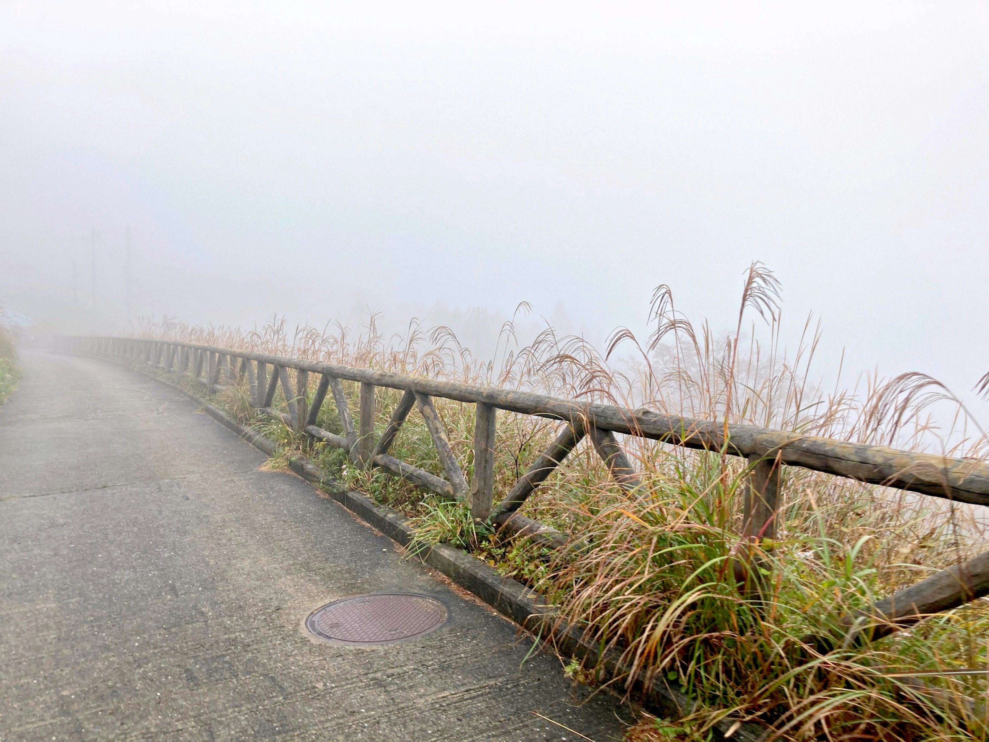 Pathway shrouded in fog with wooden fence and surrounding grass