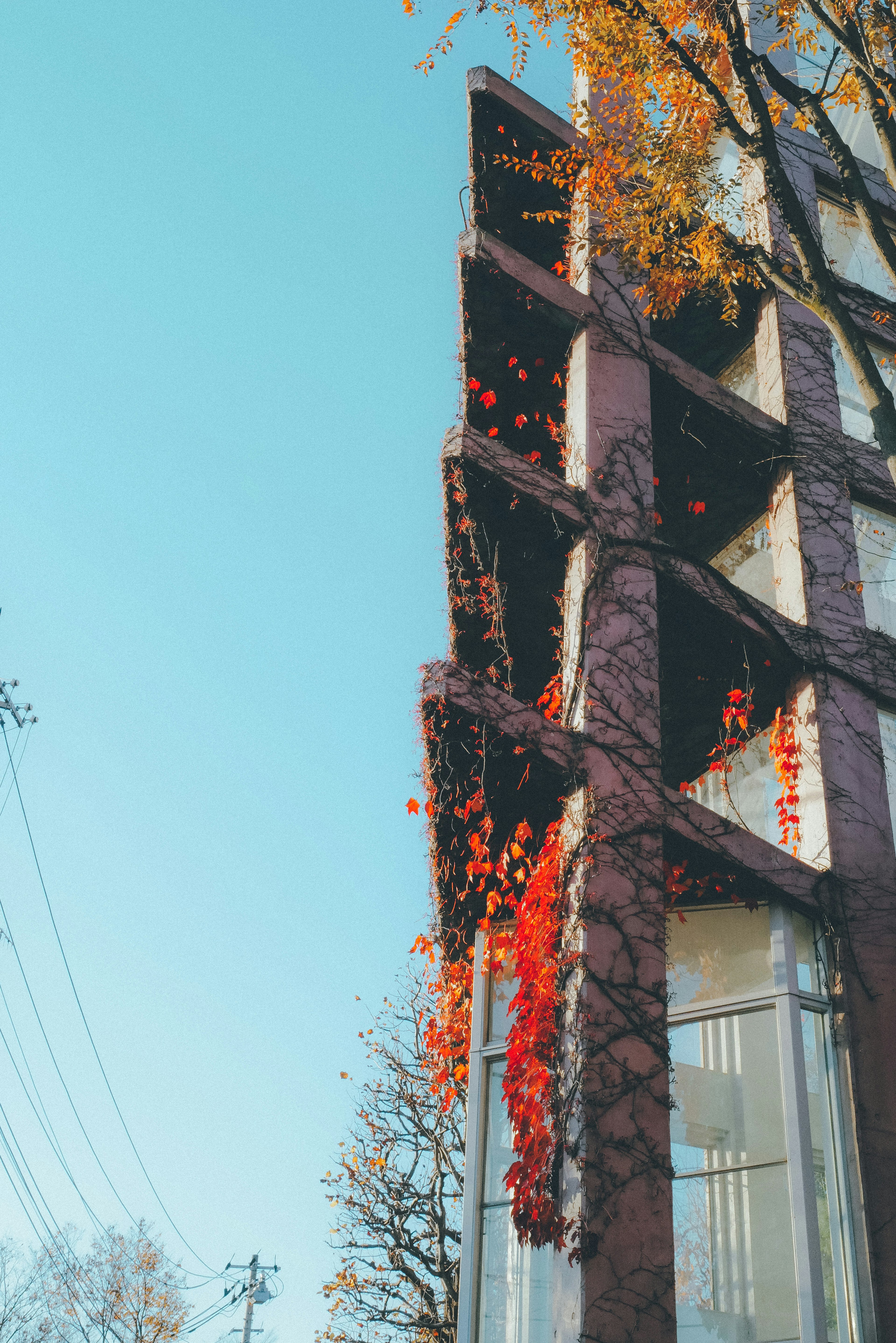 Esquina de un edificio adornado con hojas de otoño contra un cielo azul claro