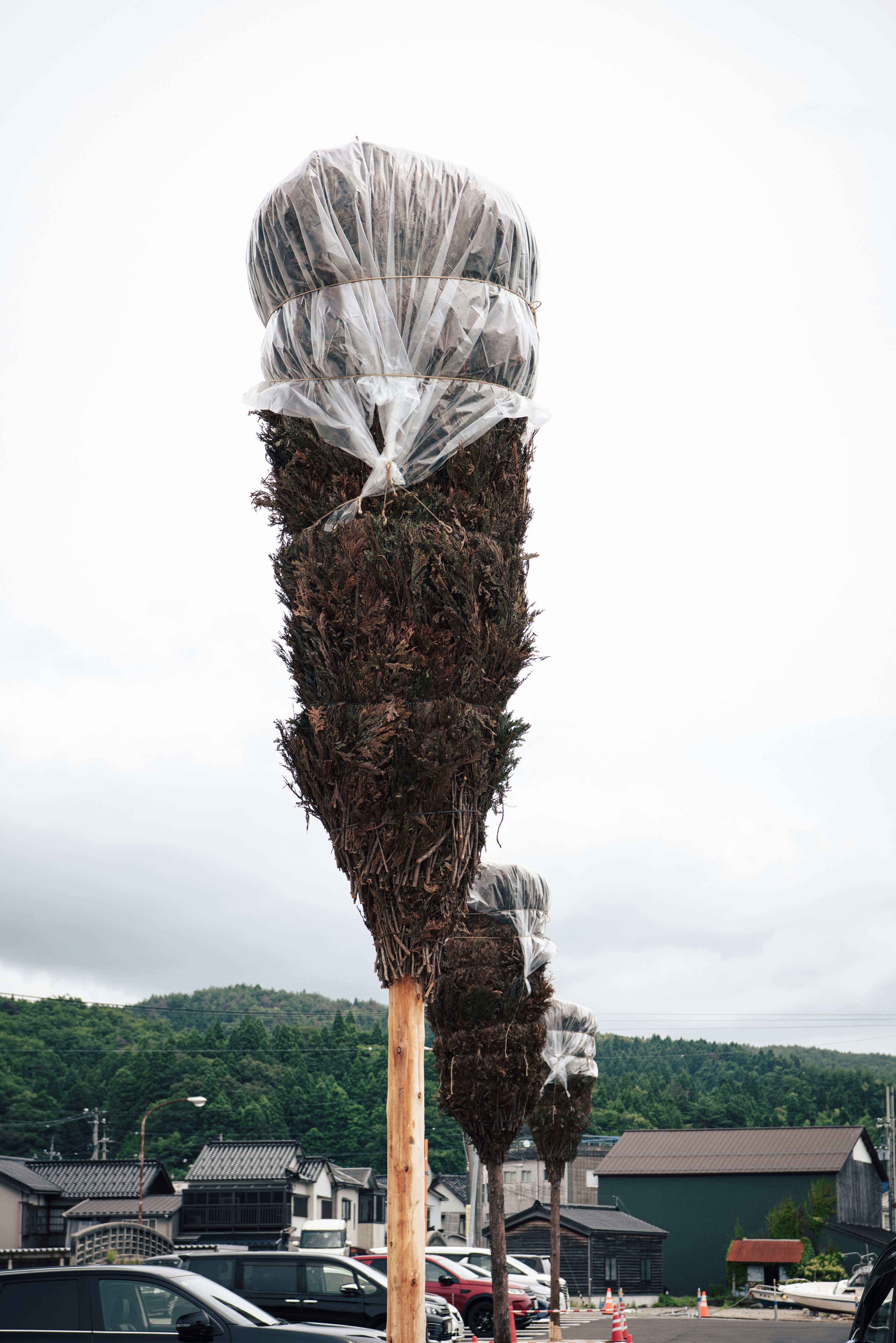 Une rangée de troncs d'arbres enveloppés dans du plastique sous un ciel nuageux