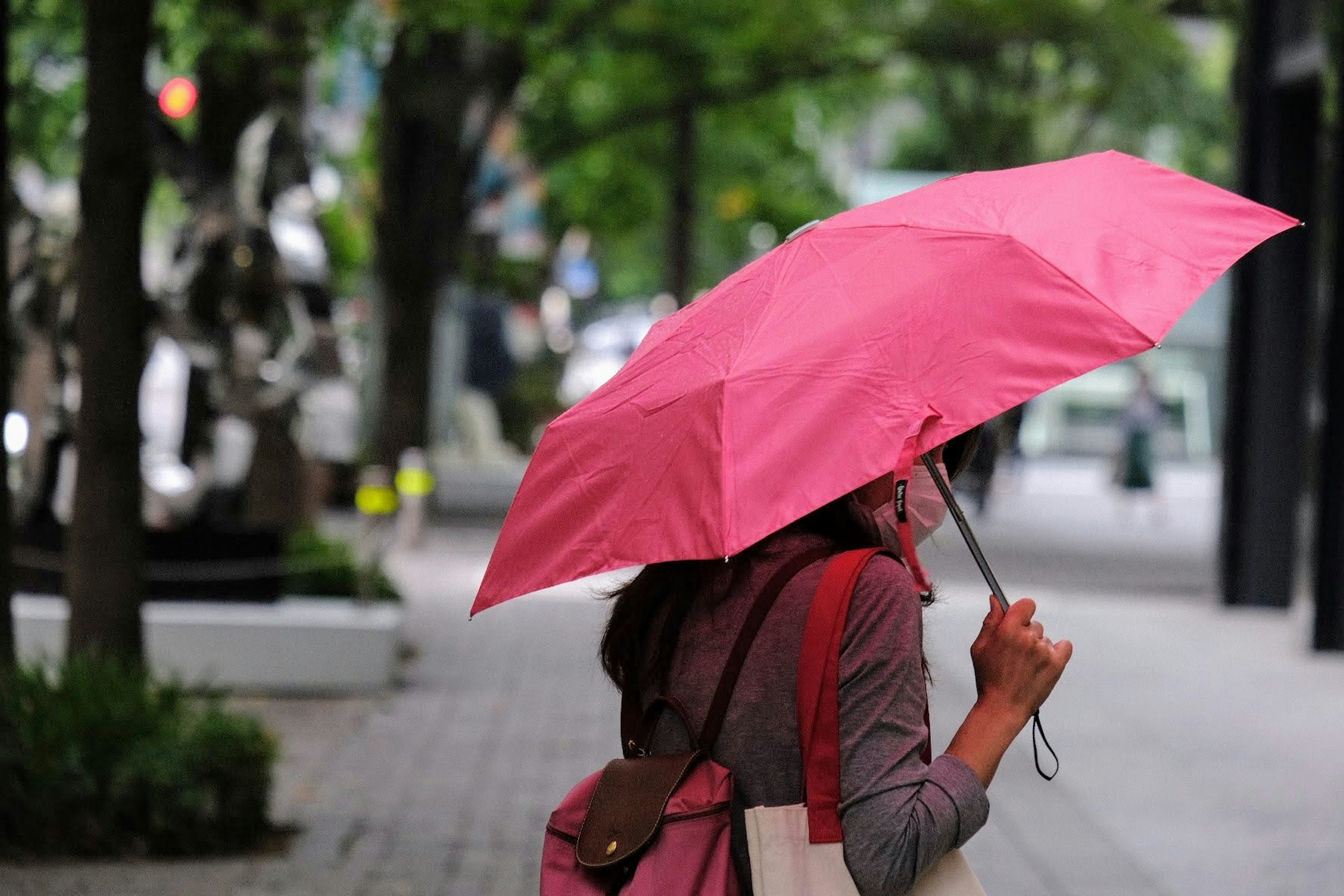 ピンクの傘を持っている女性が街を歩いている様子