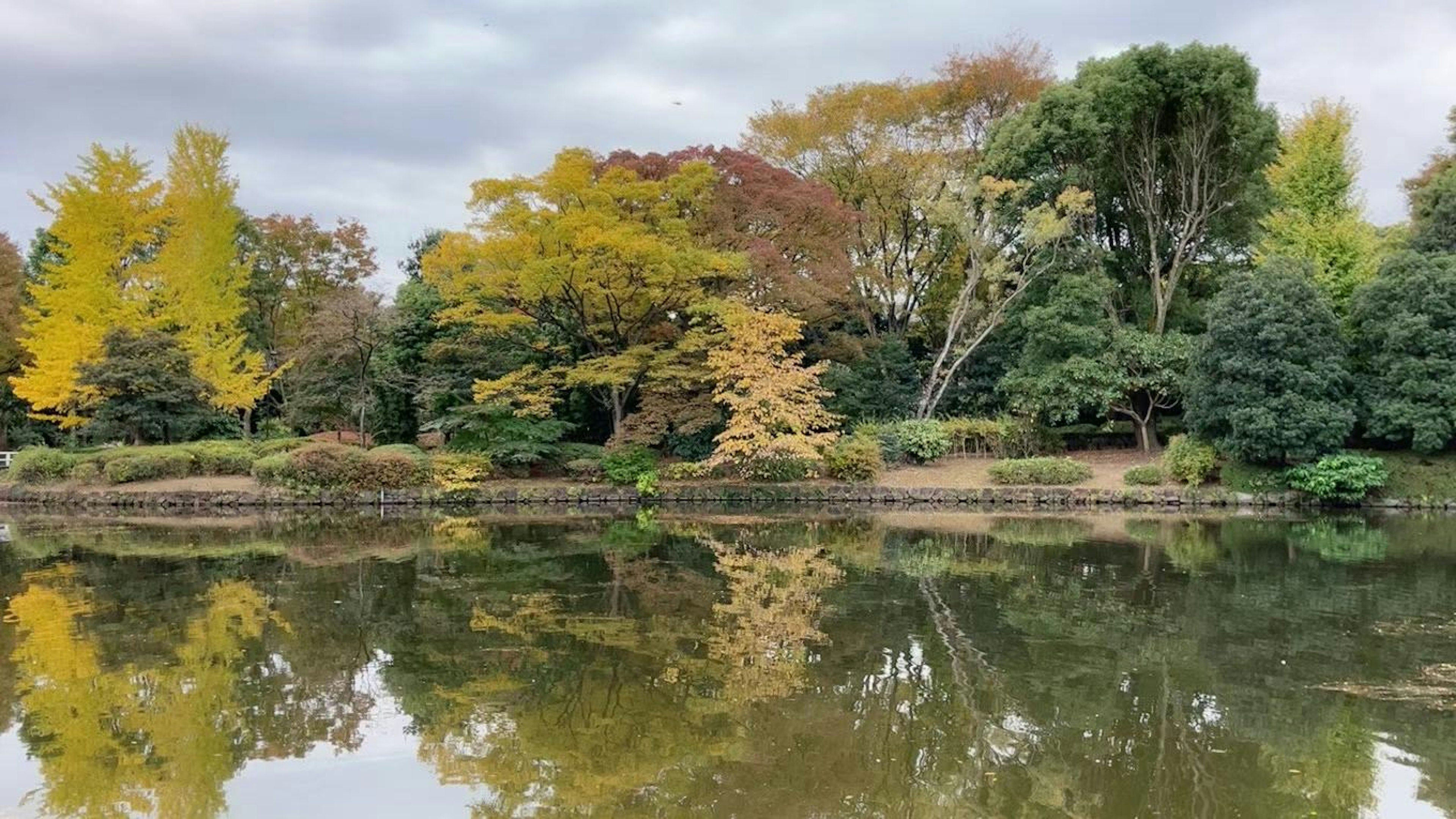 Scenic view of colorful trees reflecting in a calm pond