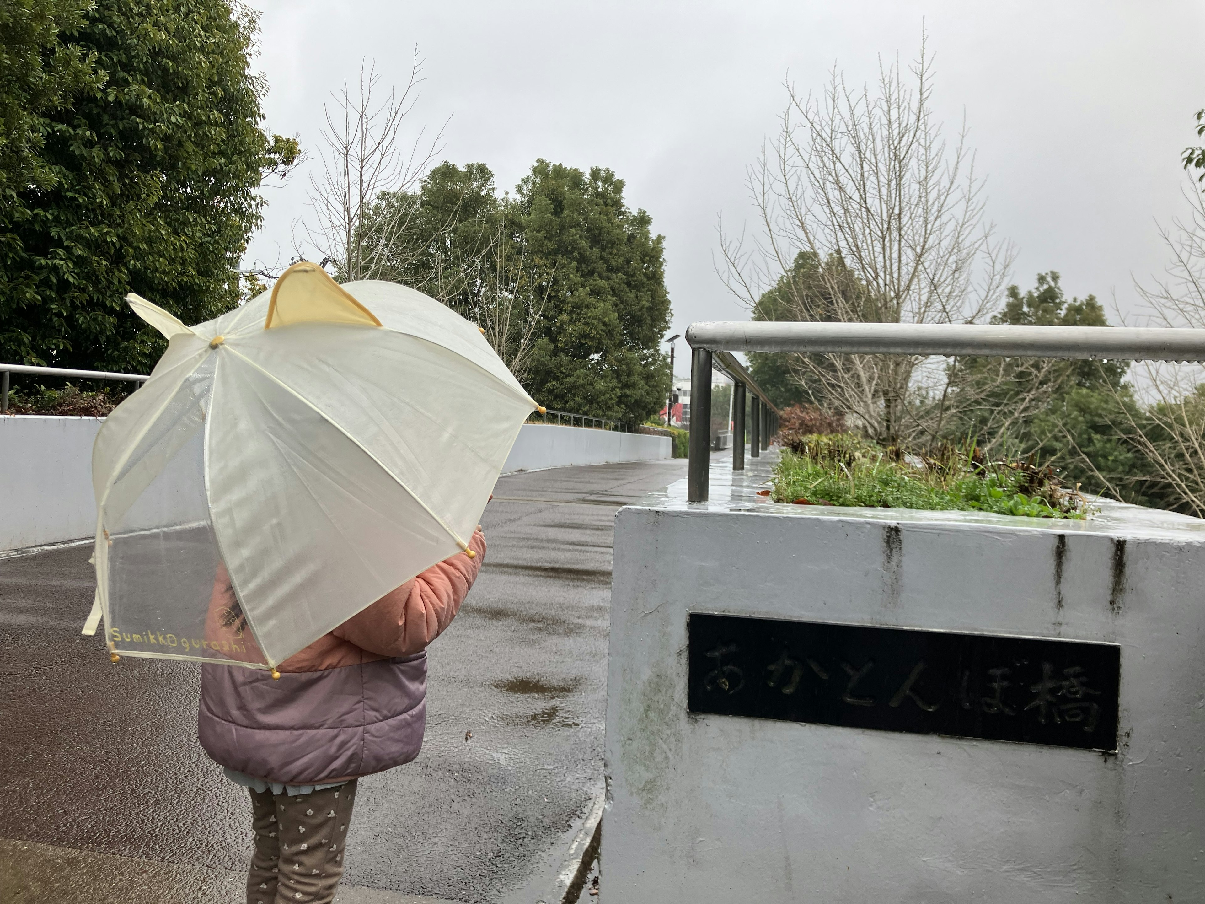 Bambino con un ombrello bianco in un ambiente piovoso che cammina su un sentiero circondato dalla natura