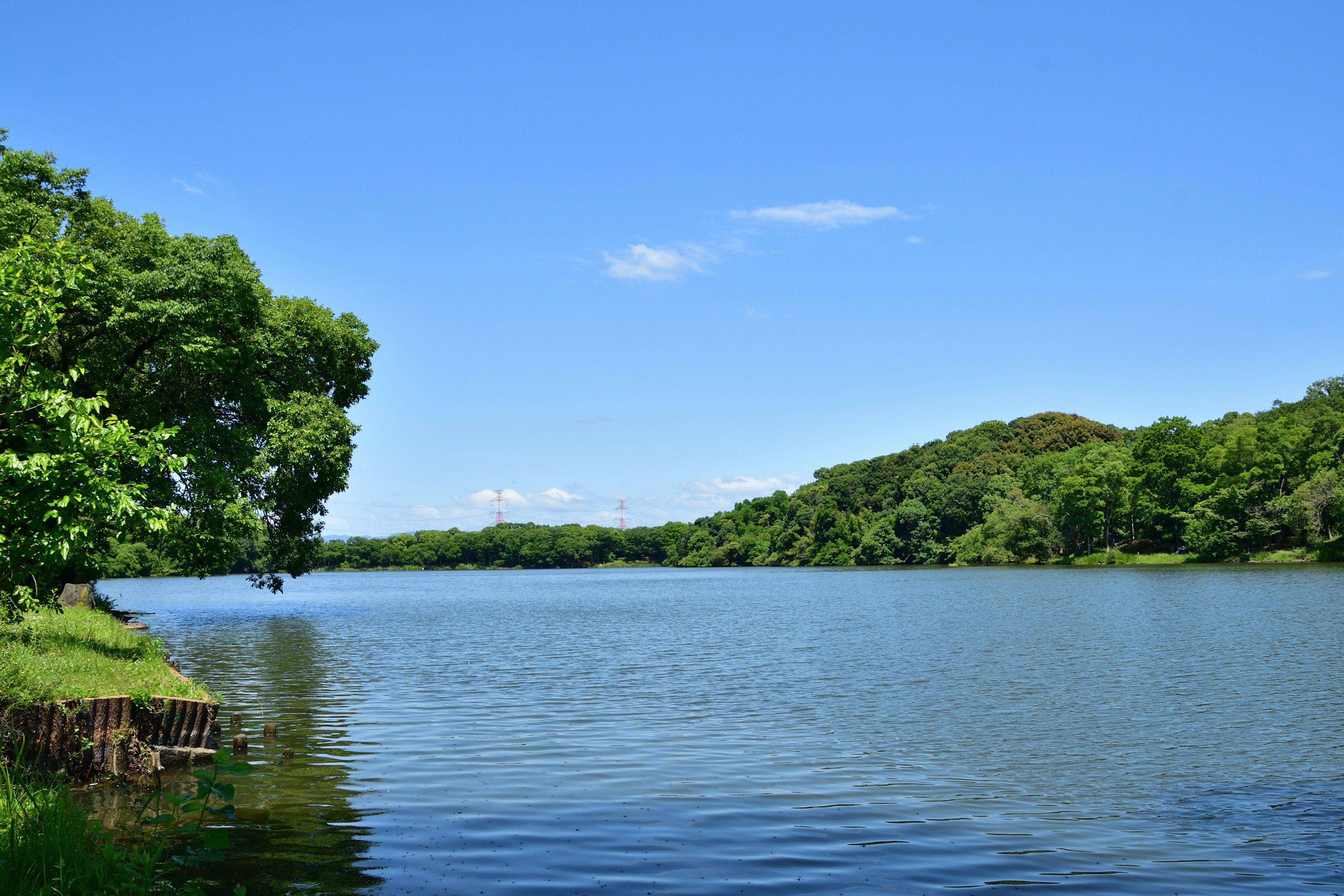 A serene lake surrounded by green trees under a blue sky