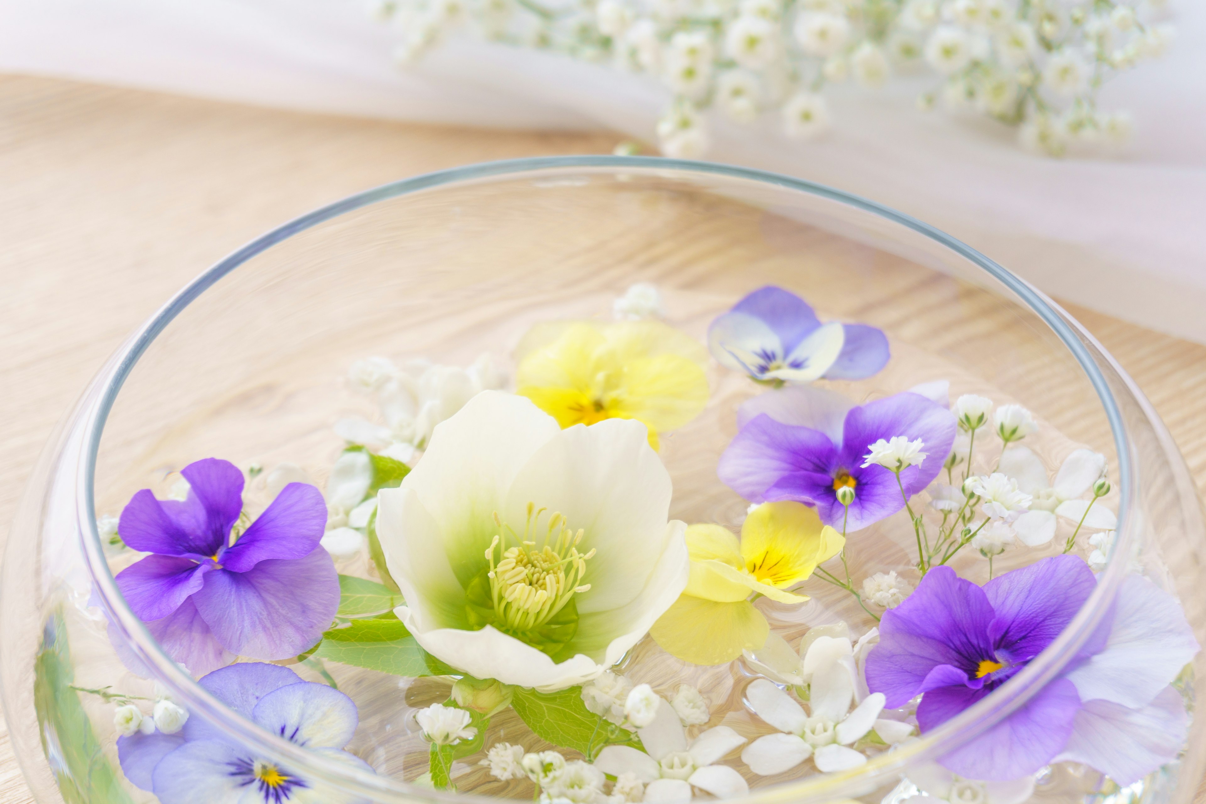 Bunte Blumen, die in einer klaren Schale mit zarten weißen Blüten schwimmen